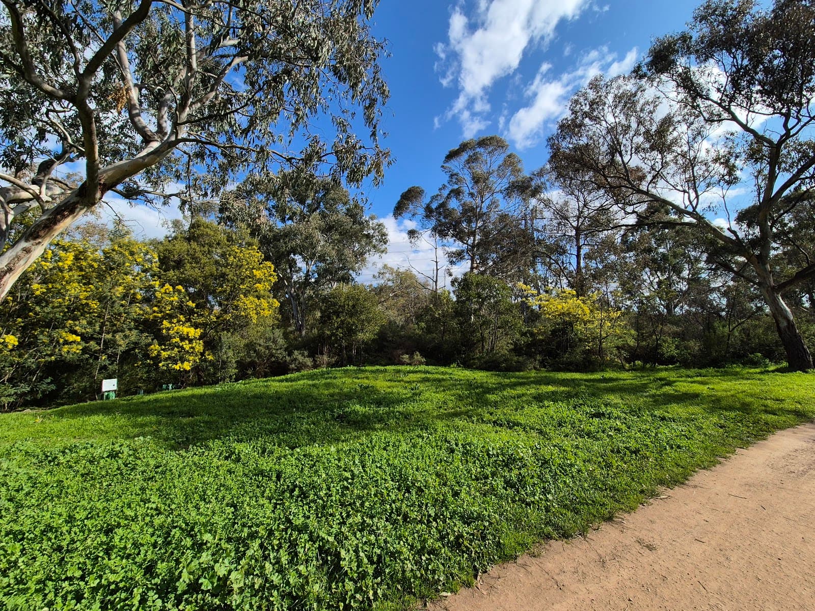 Phillips Reserve — Brunswick East, Melbourne