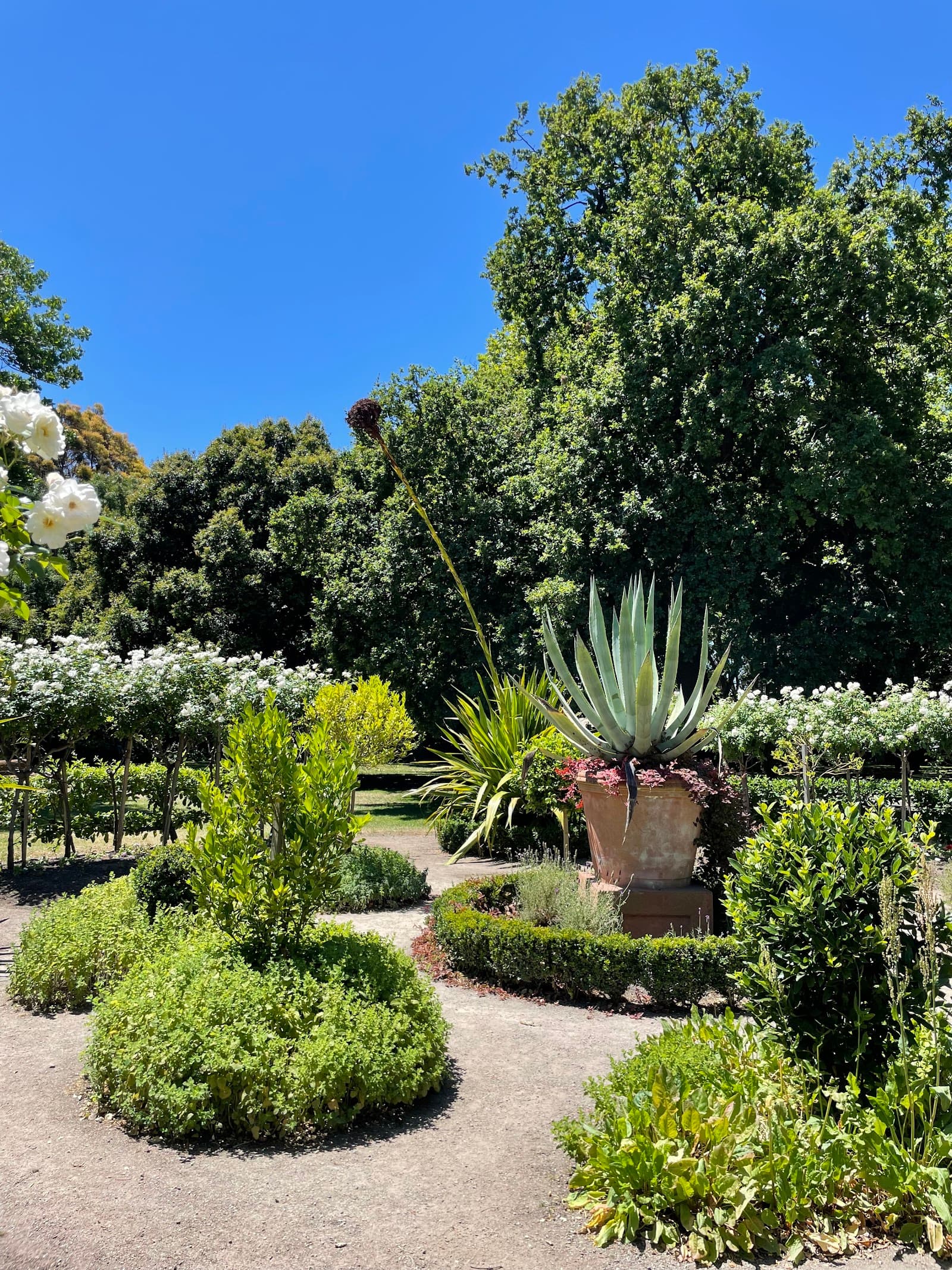 Victoria Gardens Dog Off Leash Area — Prahran, Melbourne