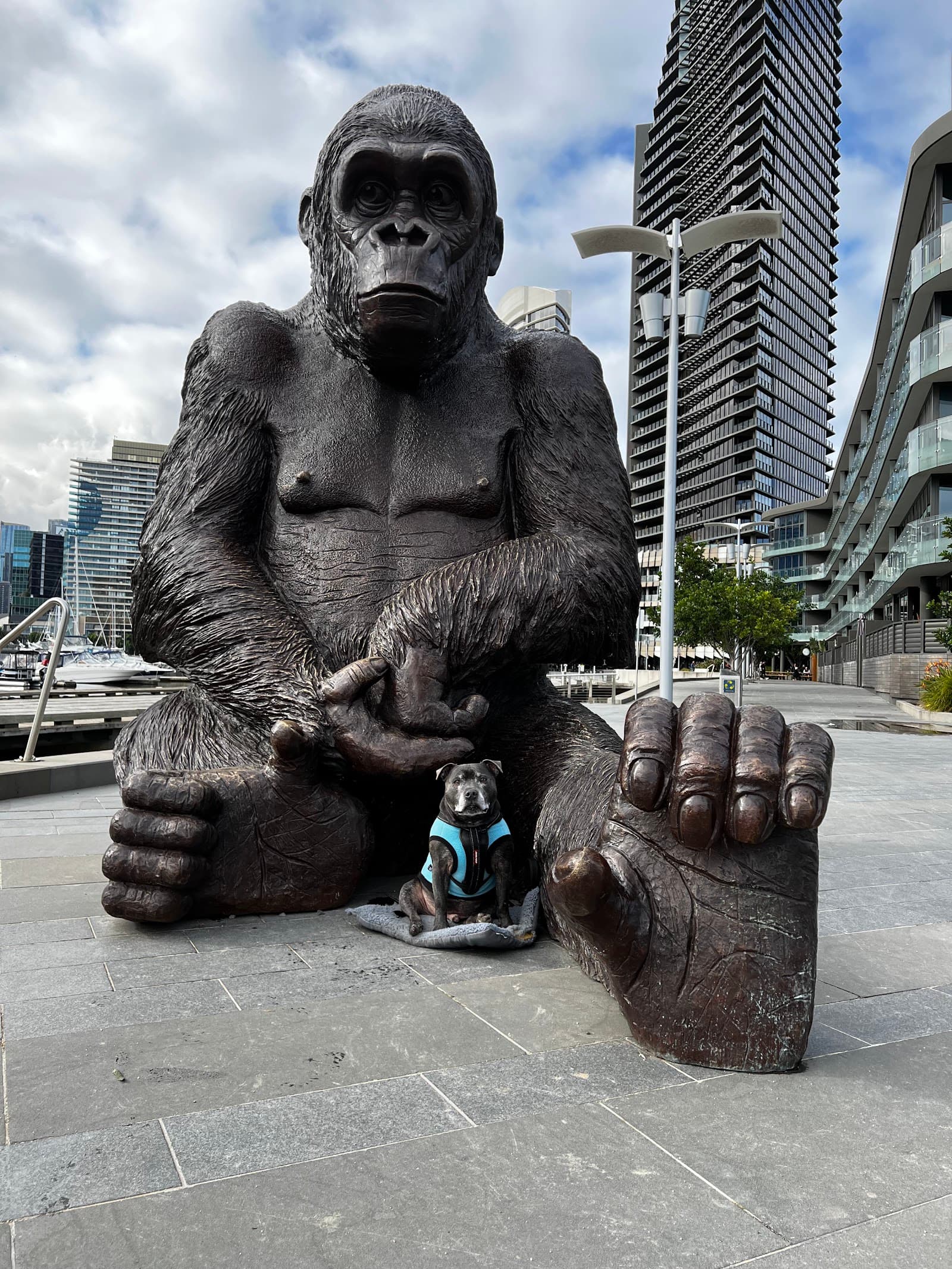 Point Park — Docklands, Melbourne