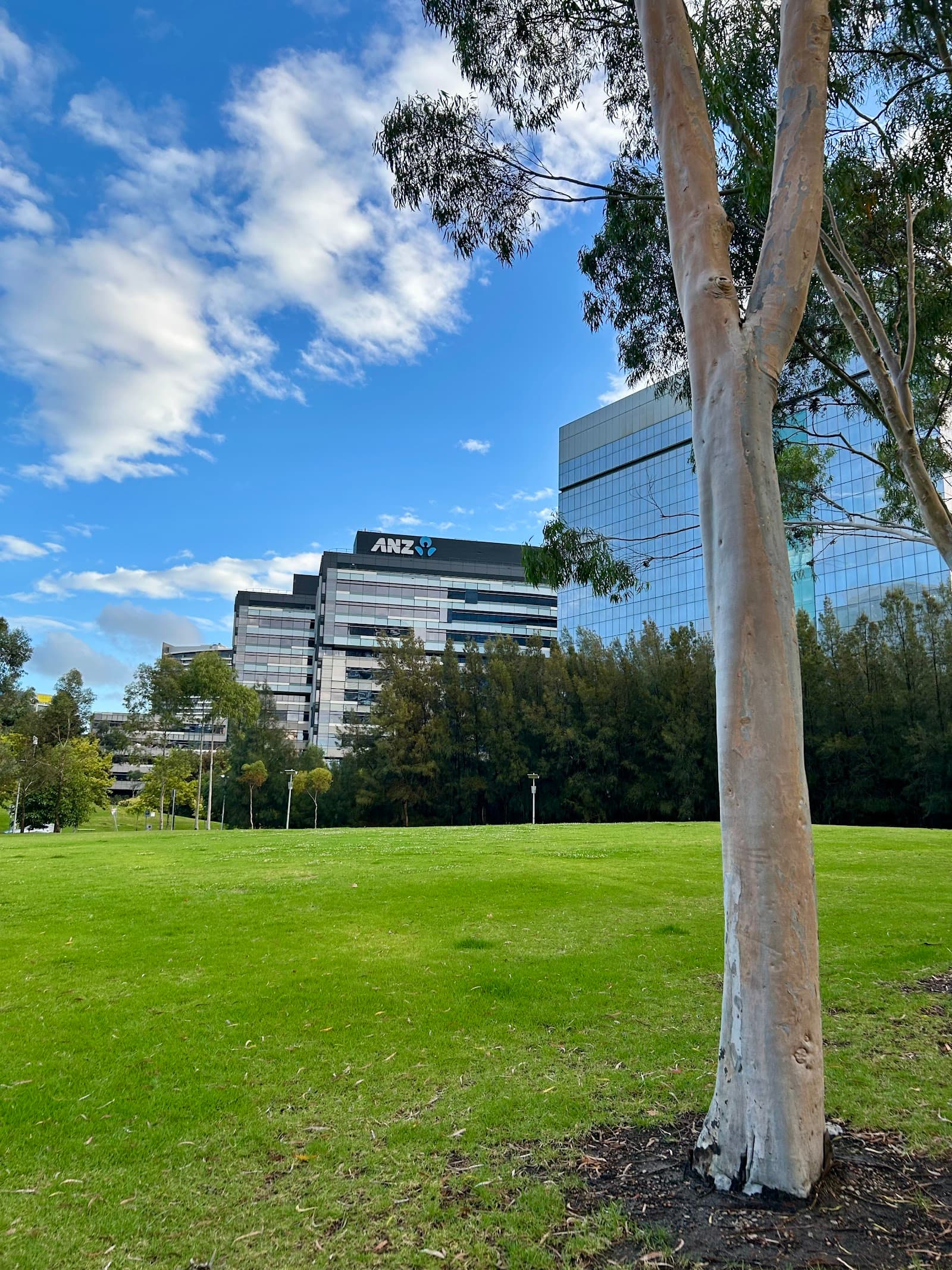 Docklands Park — Docklands, Melbourne