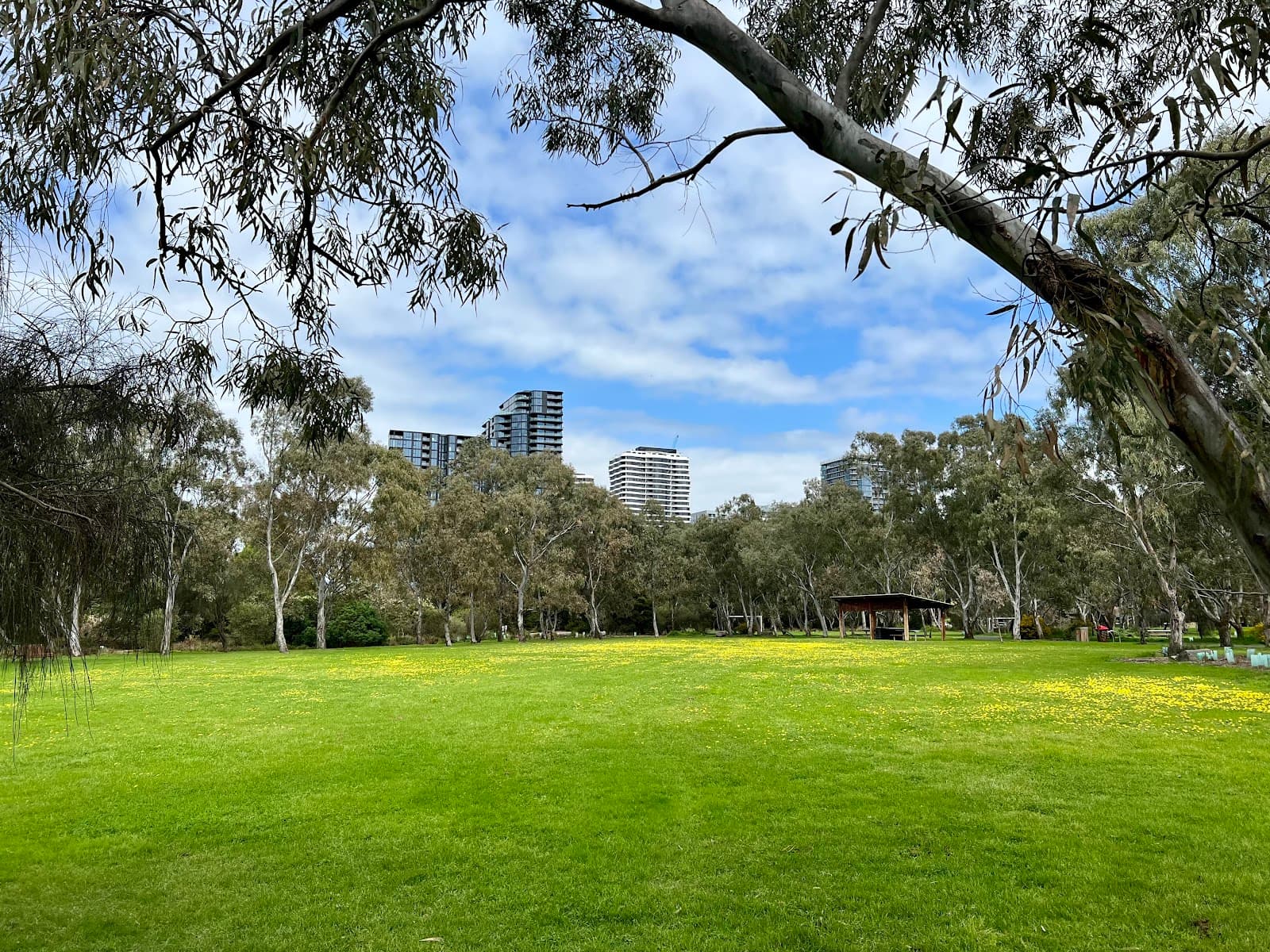 Newell's Paddock Urban Nature Park — Footscray, Melbourne