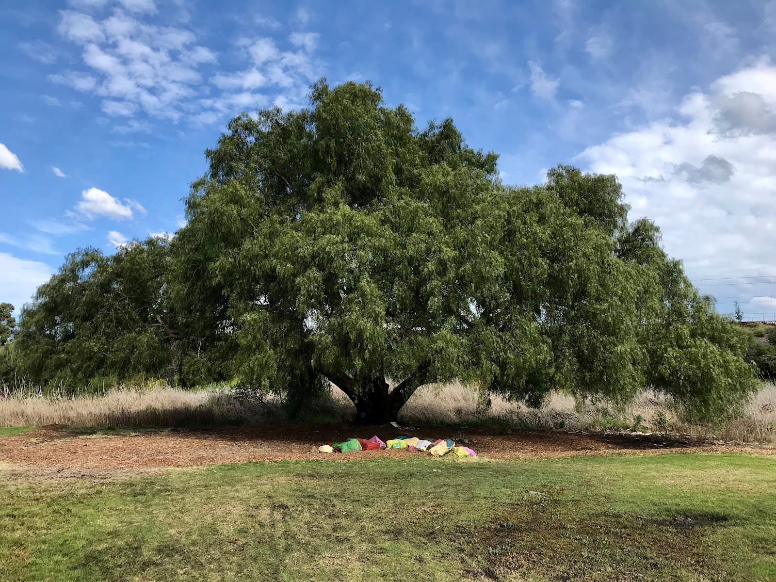 Newell's Paddock Urban Nature Park — Footscray, Melbourne