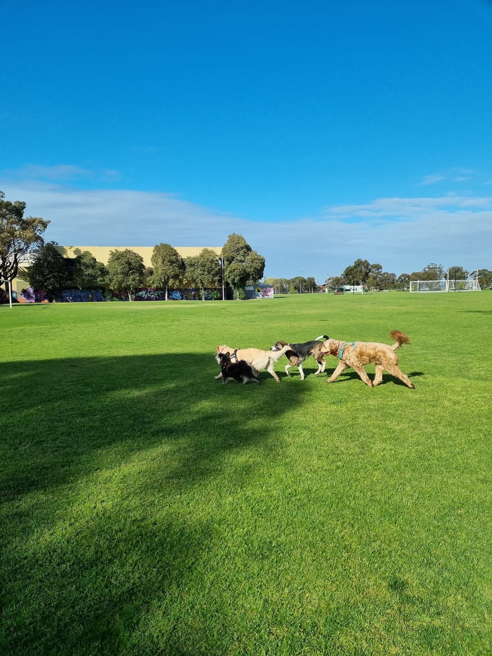 Hansen Reserve — Footscray, Melbourne