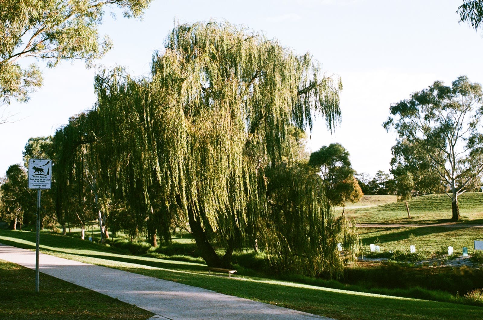 McNish 'Dinosaur Park' Reserve — Footscray, Melbourne