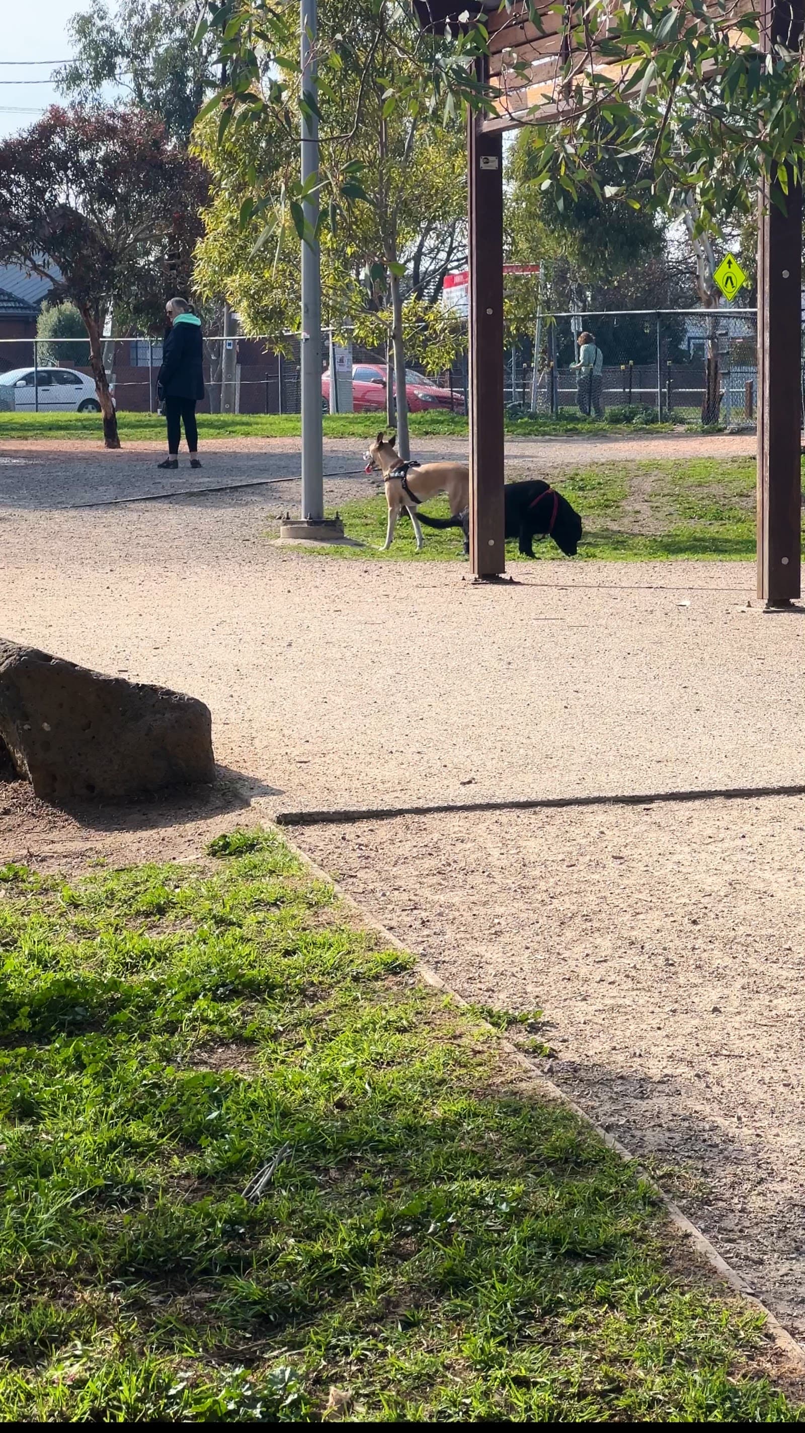 Martin Reserve Fenced Dog Park — Footscray, Melbourne
