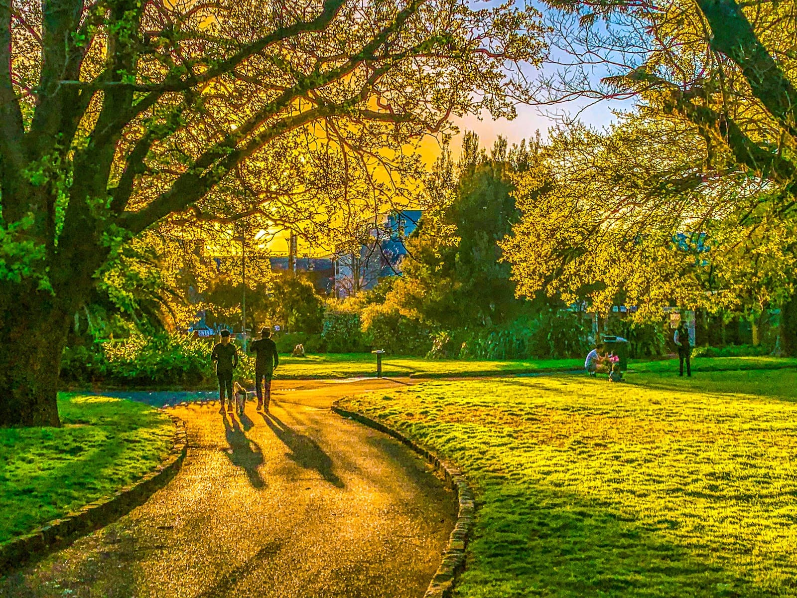 Central Gardens — Hawthorn, Melbourne