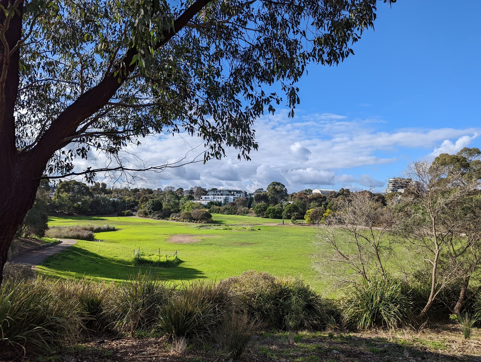 Fritsch Holzer Park — Hawthorn, Melbourne