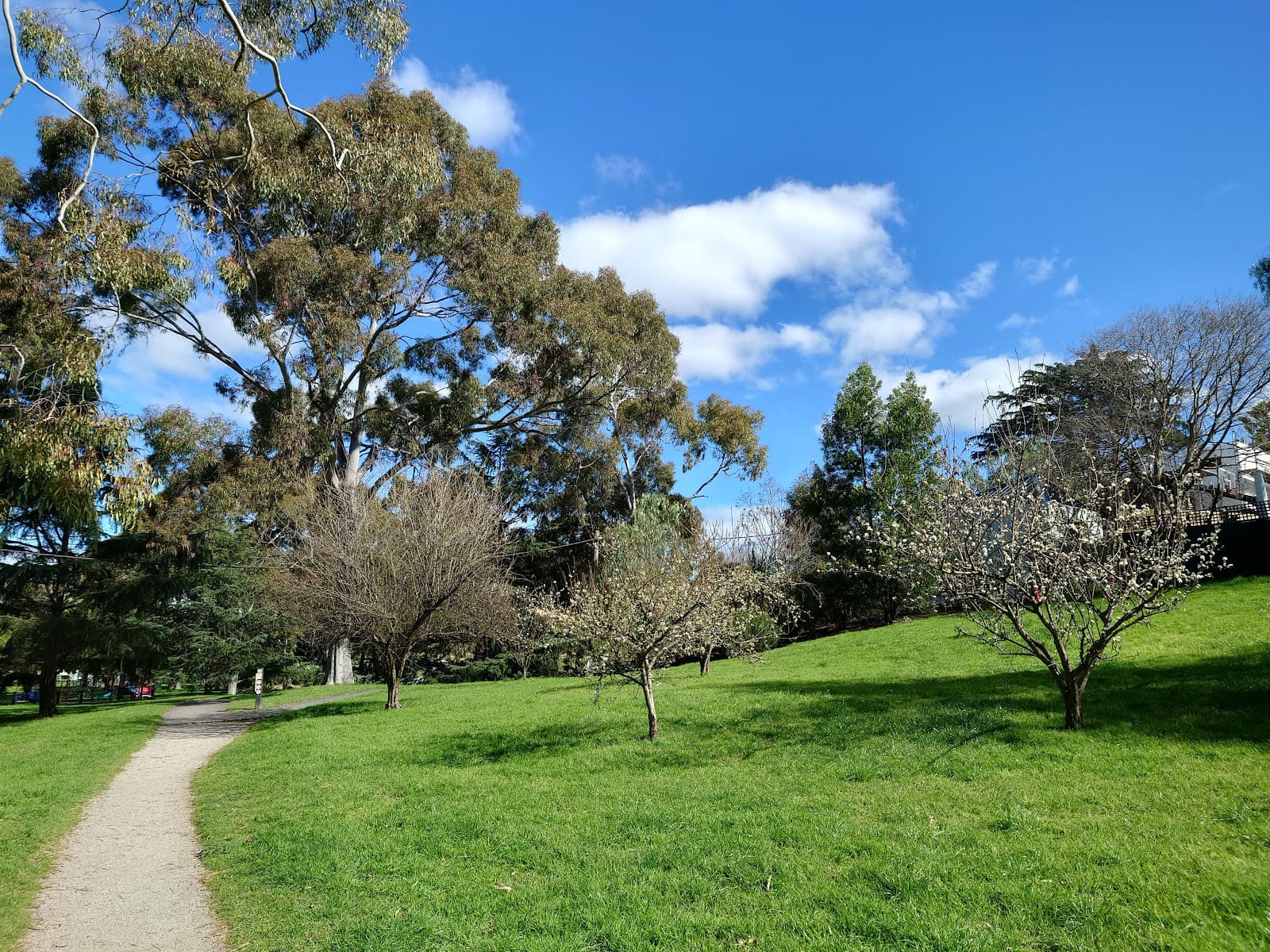 Morang Road Reserve — Hawthorn, Melbourne