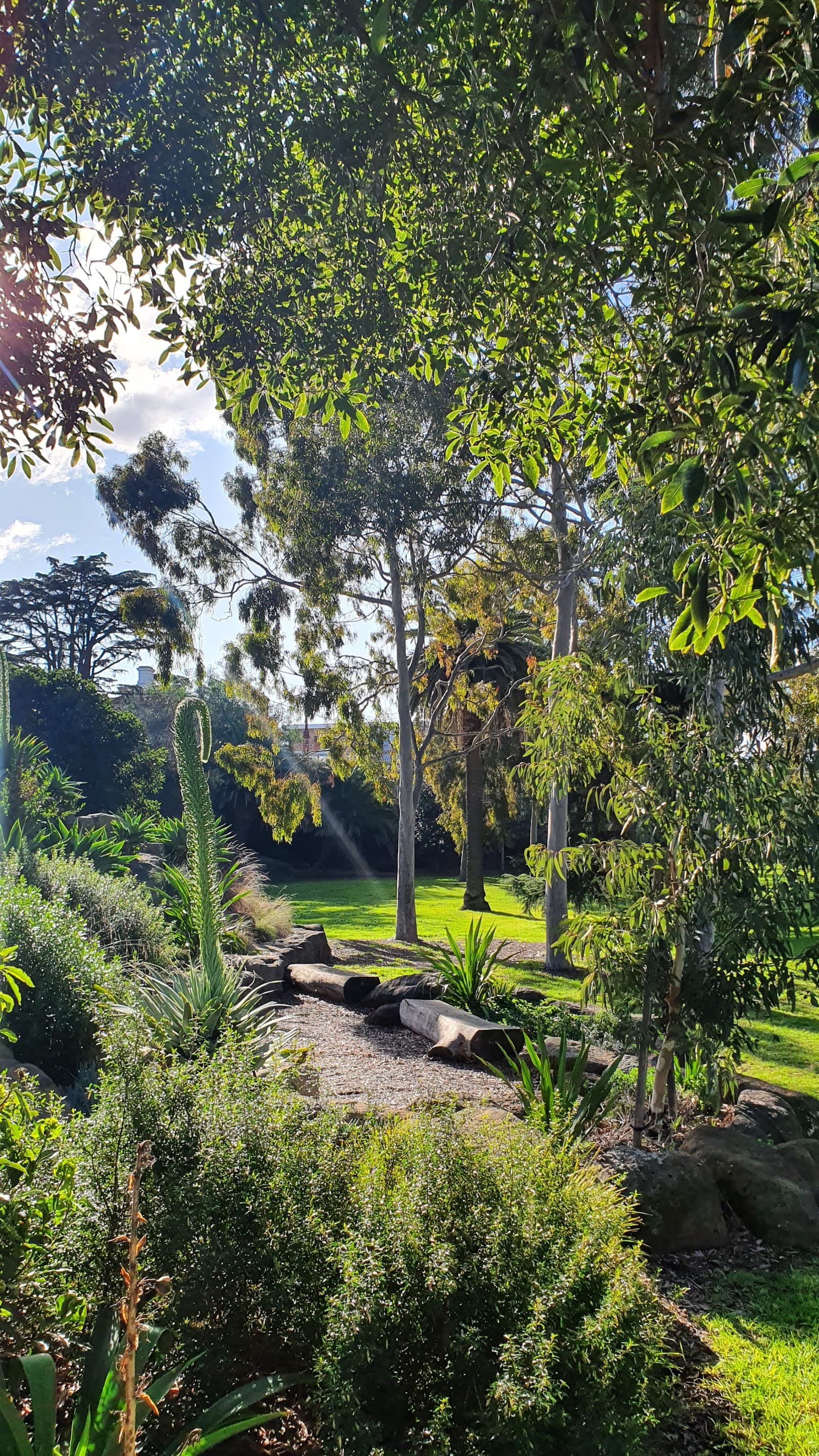 Morang Road Reserve — Hawthorn, Melbourne