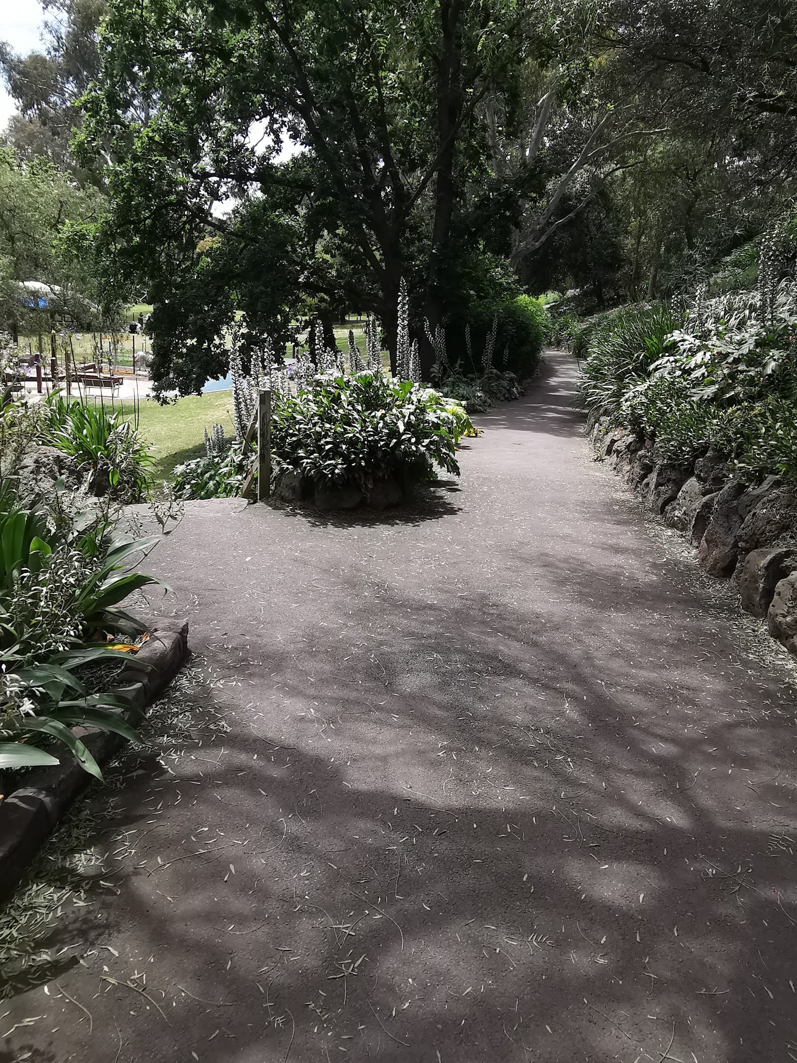 Yarra Bank Reserve Playground — Hawthorn, Melbourne