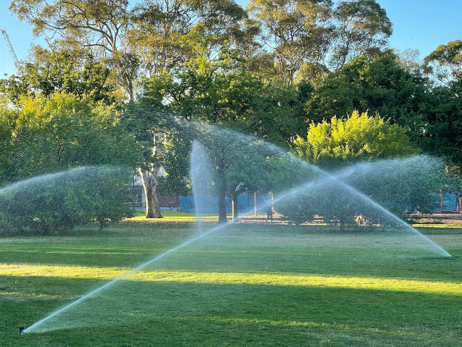 Grace Park — Hawthorn, Melbourne