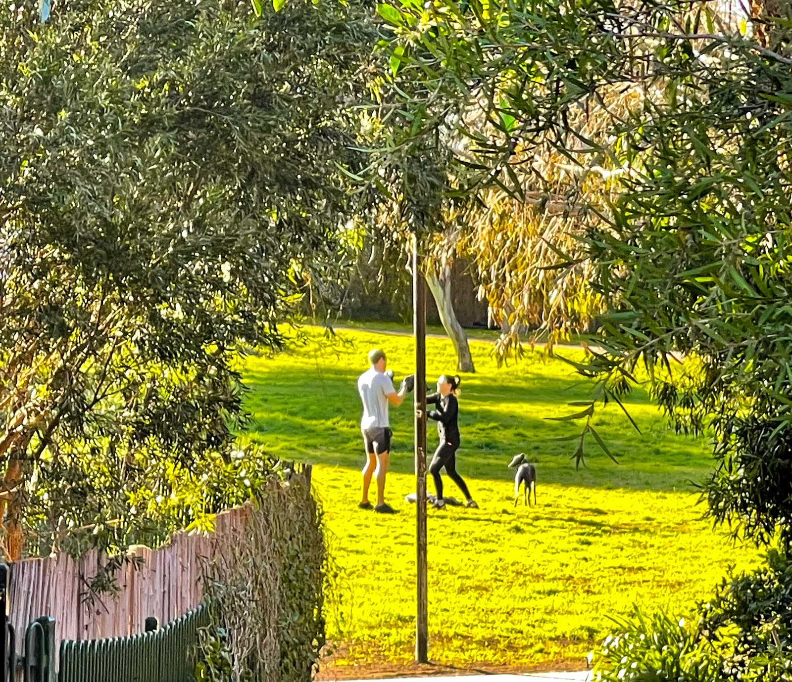 Smart Street Reserve — Hawthorn, Melbourne