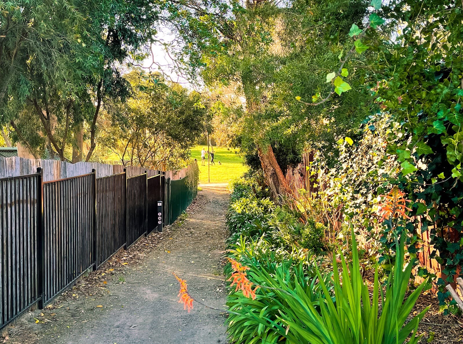 Smart Street Reserve — Hawthorn, Melbourne