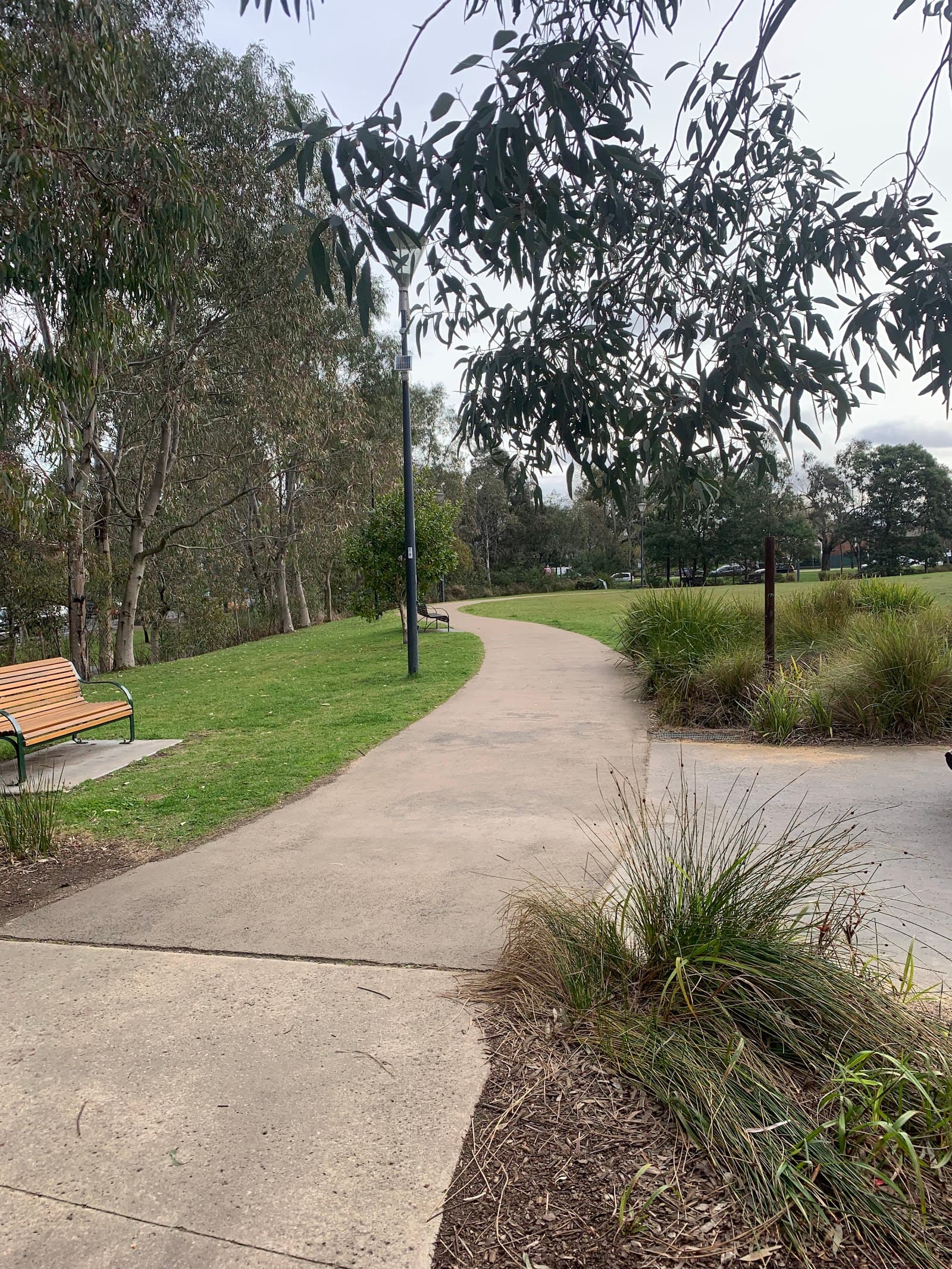 Errol Street Reserve — North Melbourne, Melbourne