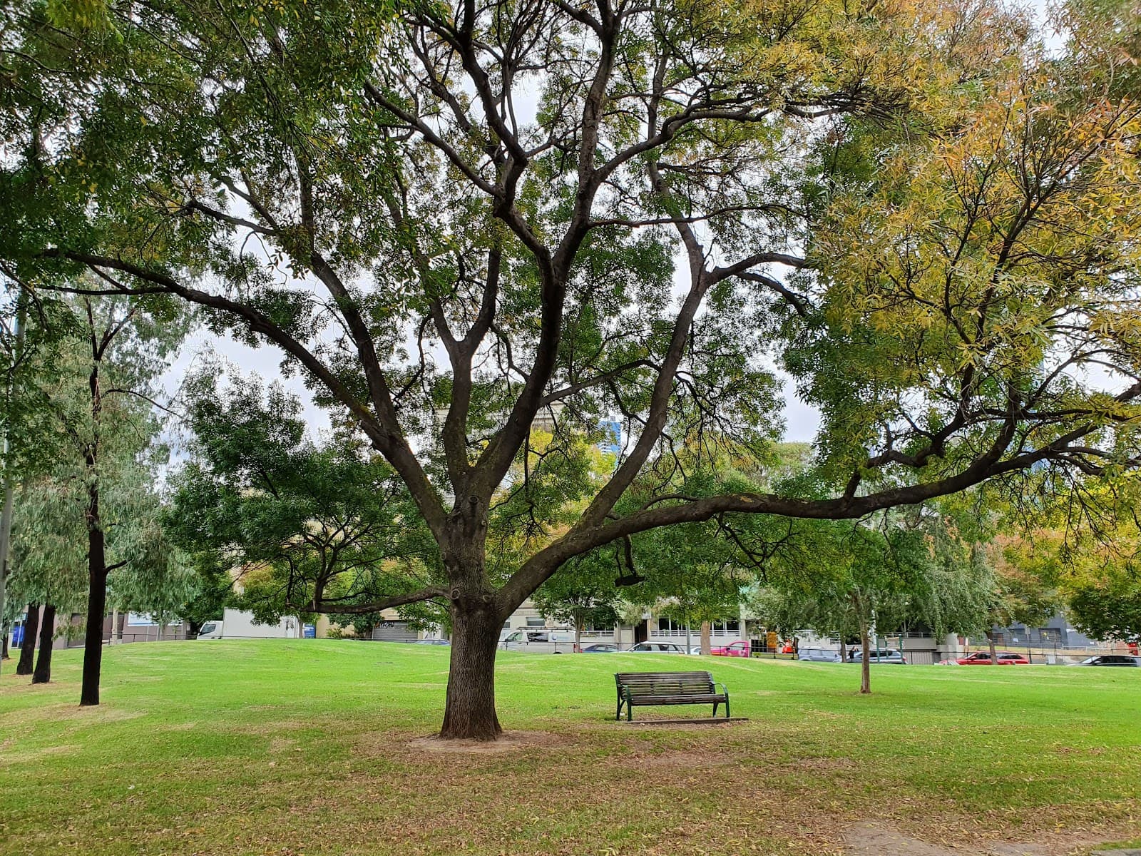 Eades Park — North Melbourne, Melbourne