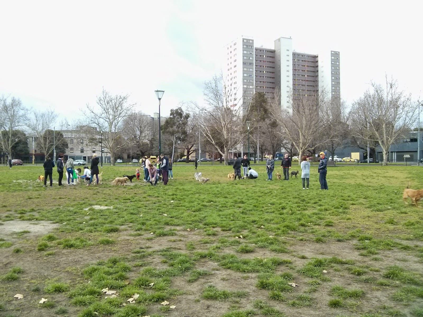 Clayton Reserve — North Melbourne, Melbourne