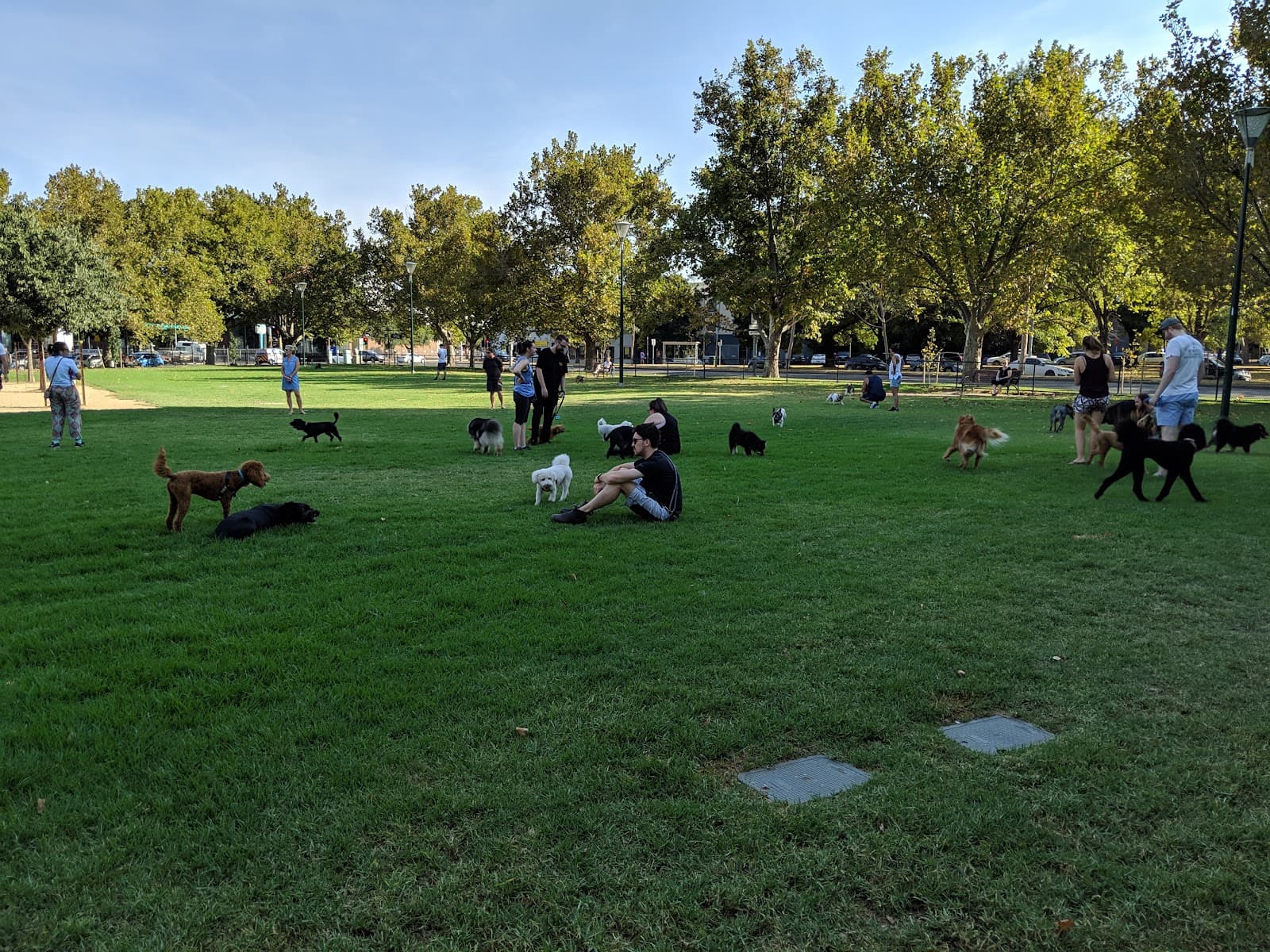 Clayton Reserve — North Melbourne, Melbourne