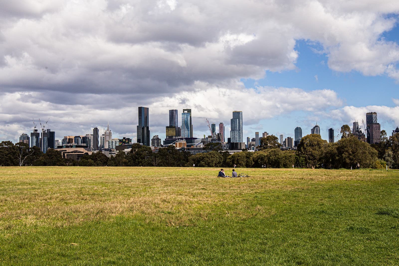 Native Grassland Circle — North Melbourne, Melbourne