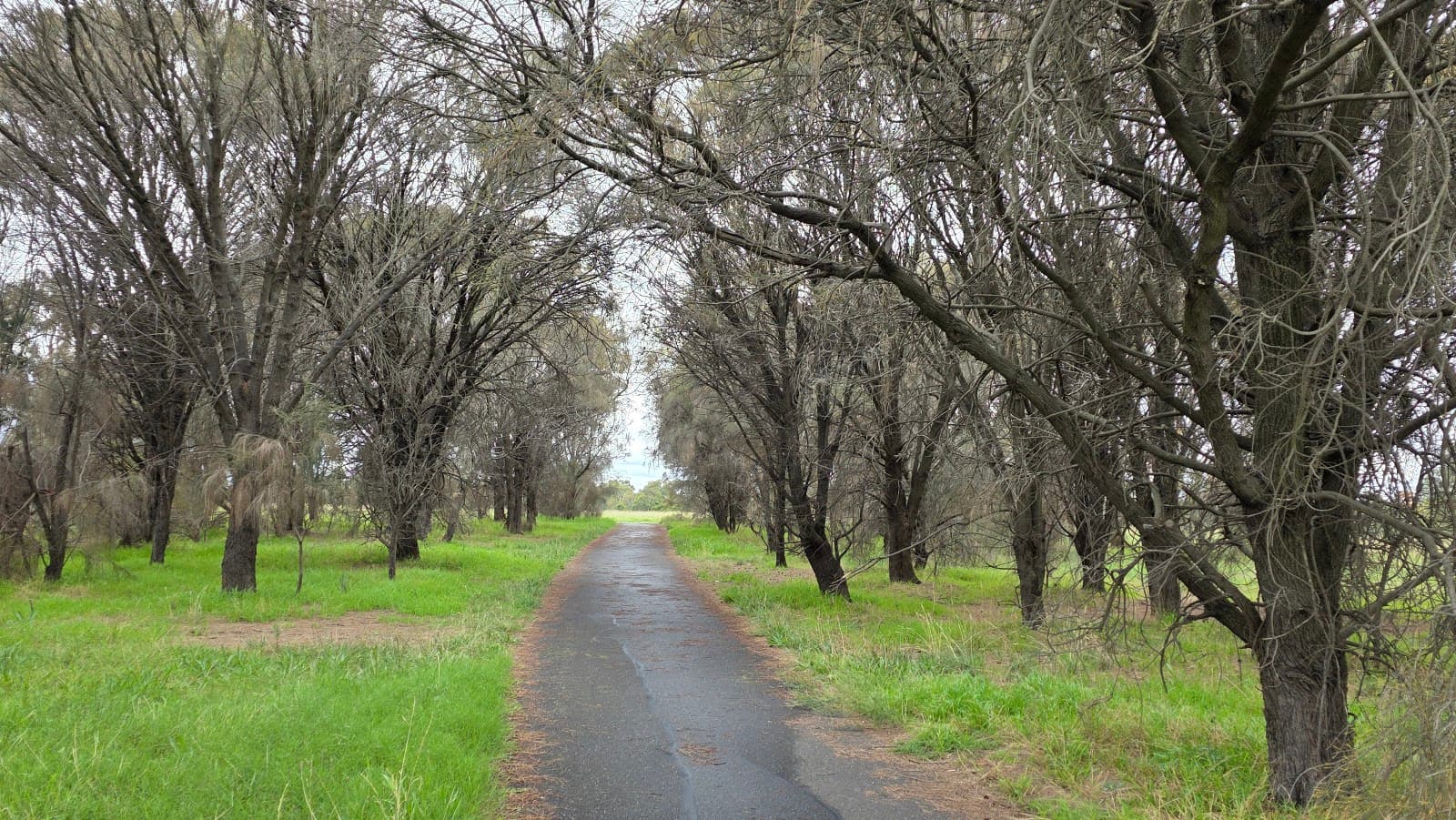 Royal Park — North Melbourne, Melbourne