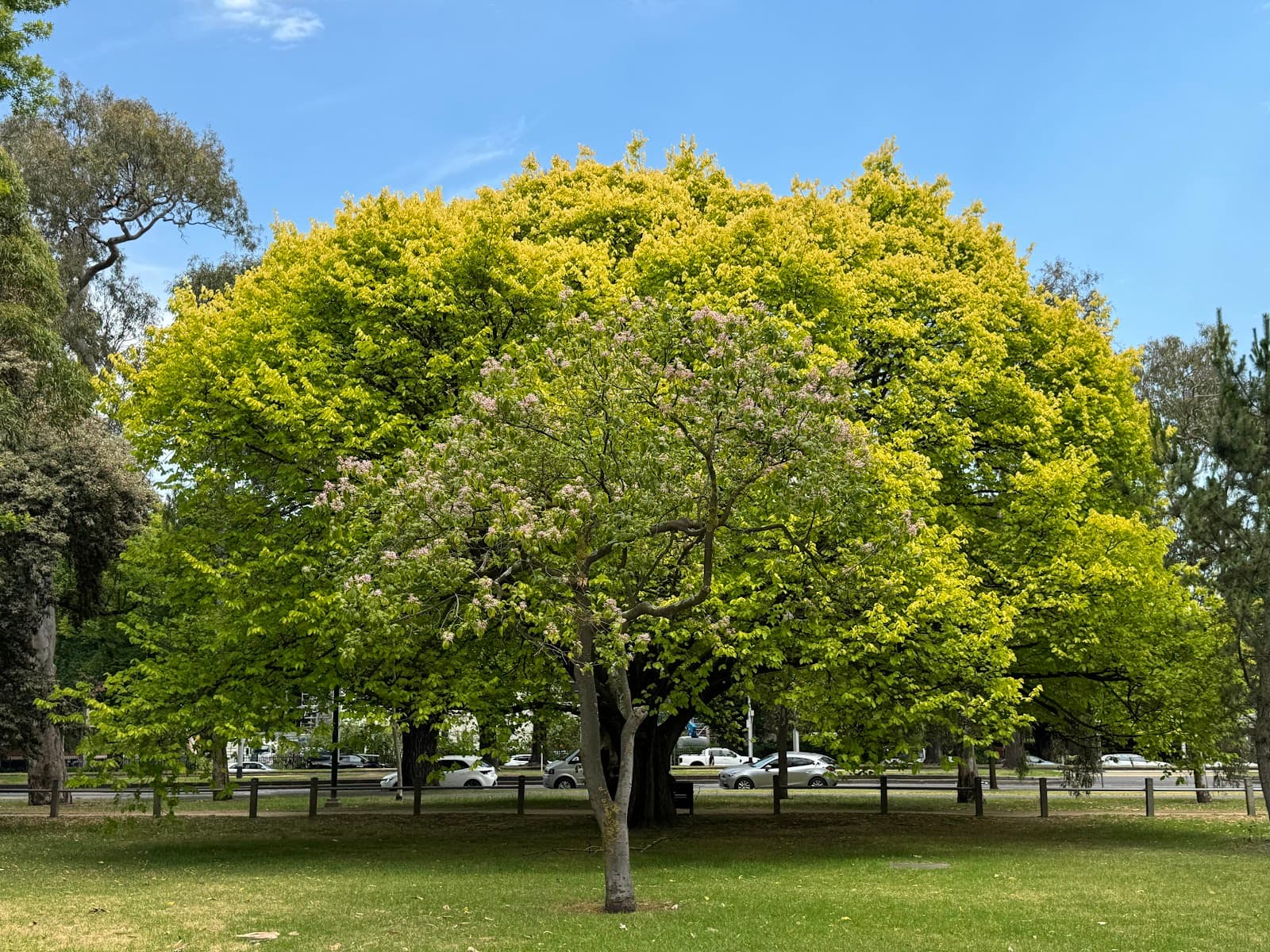 Royal Park — Parkville, Melbourne