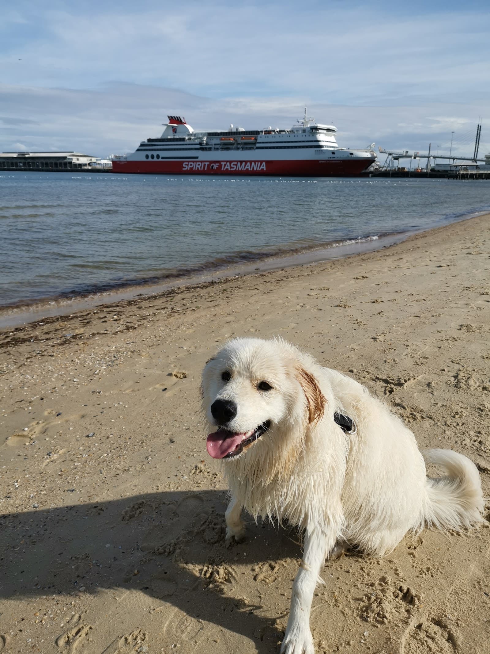 Dog Beach — North Melbourne, Melbourne