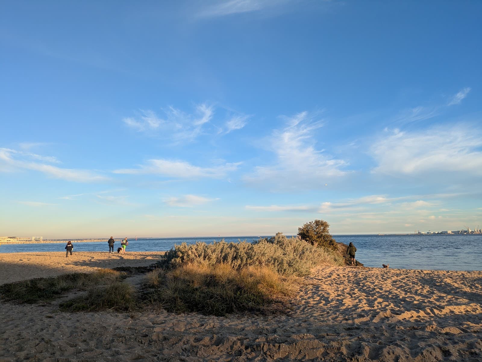 Port Melbourne Dog Beach — Docklands, Melbourne