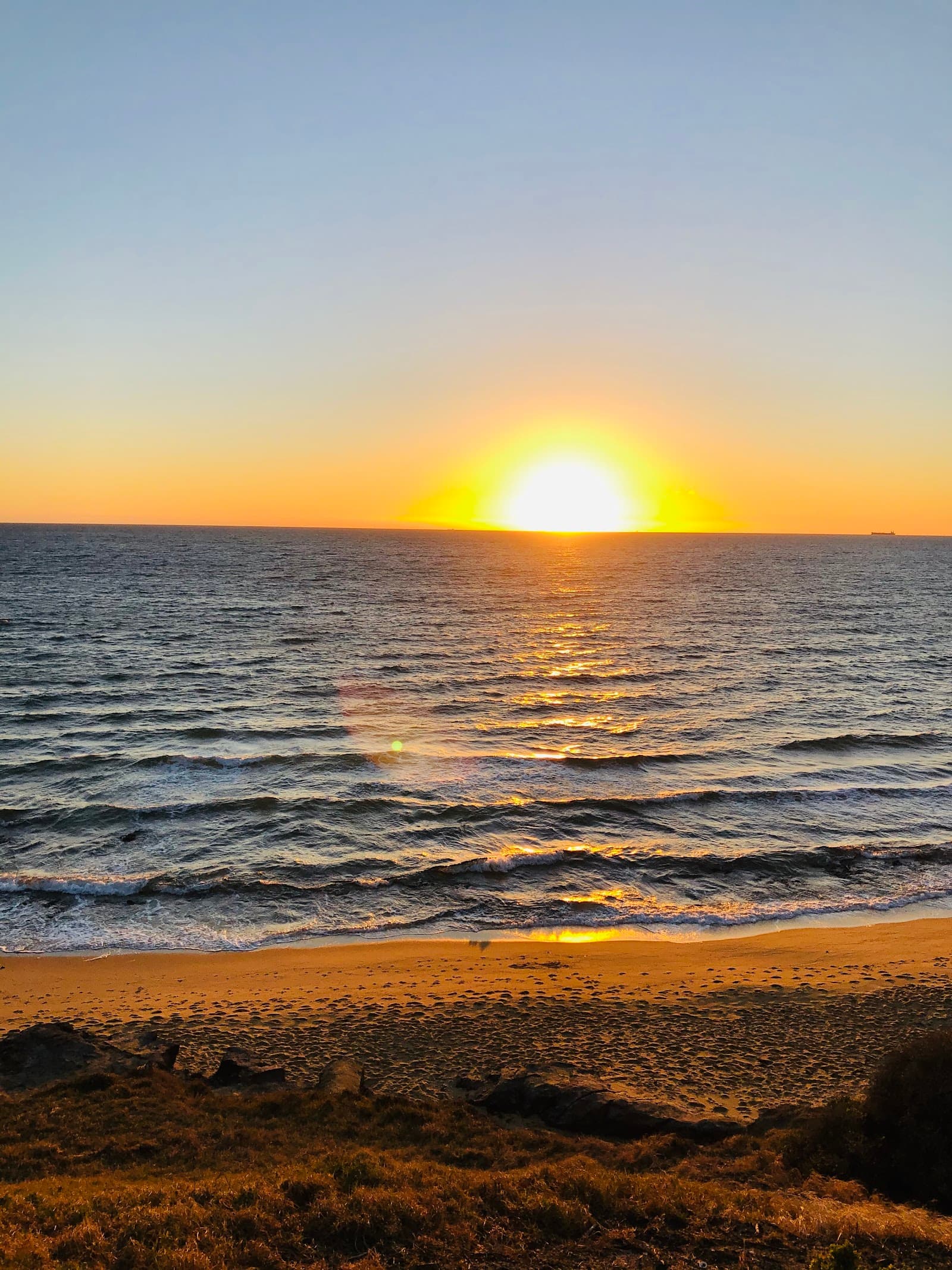 Edward Street Beach — South Yarra, Melbourne