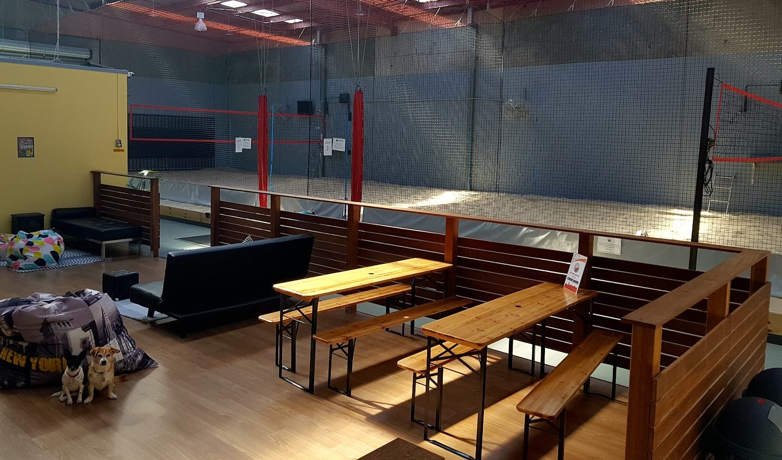 Volley+ Social Volleyball — Brunswick, Melbourne