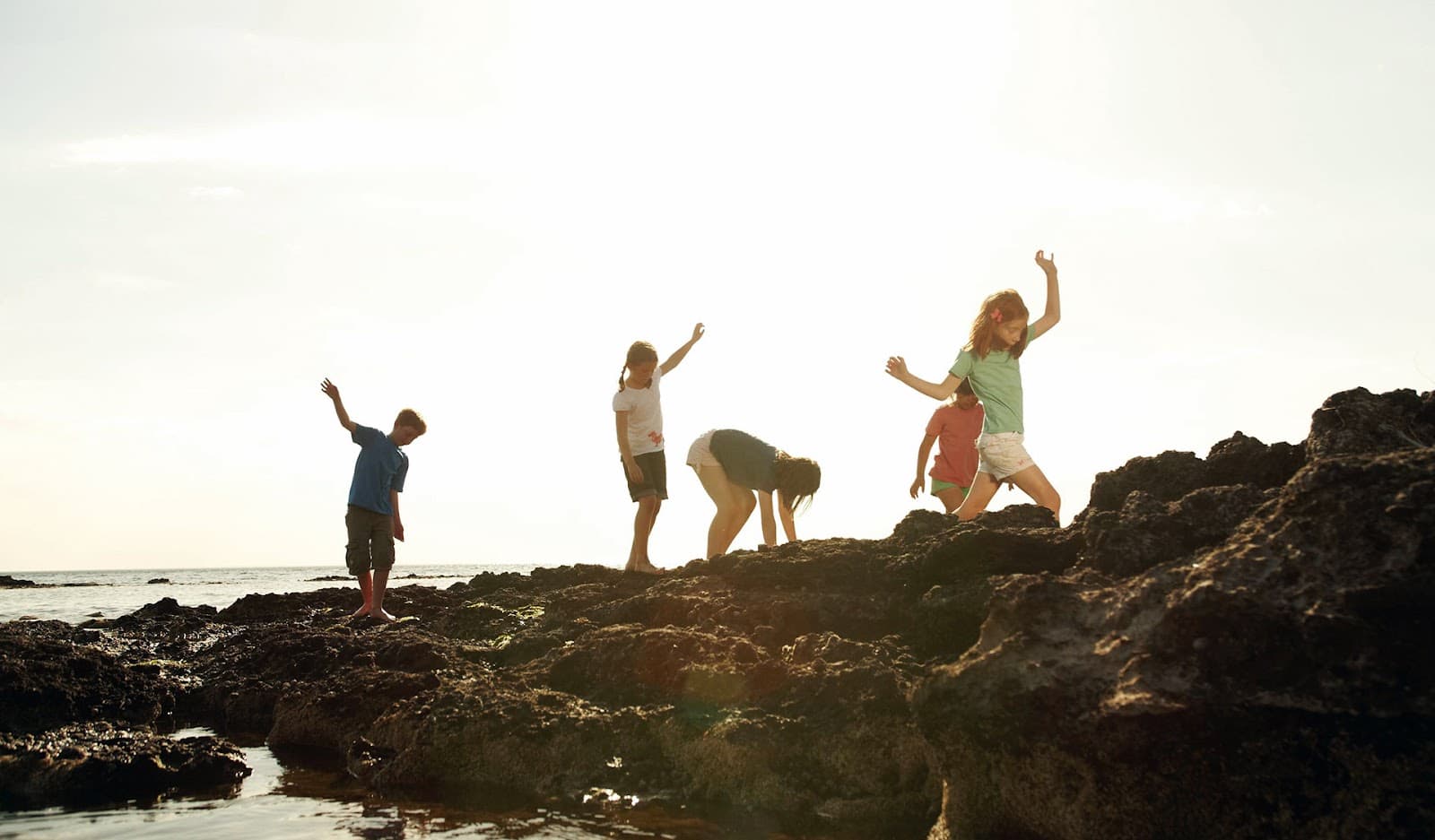 Ricketts Point Marine Sanctuary (Parks Victoria) — Prahran, Melbourne