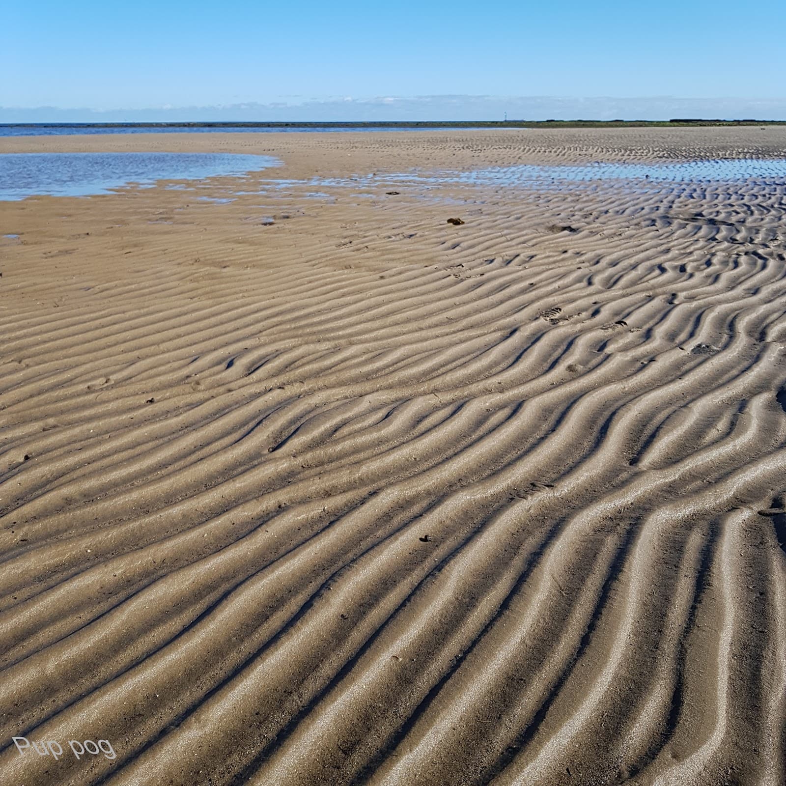 Ricketts Point Marine Sanctuary (Parks Victoria) — Prahran, Melbourne