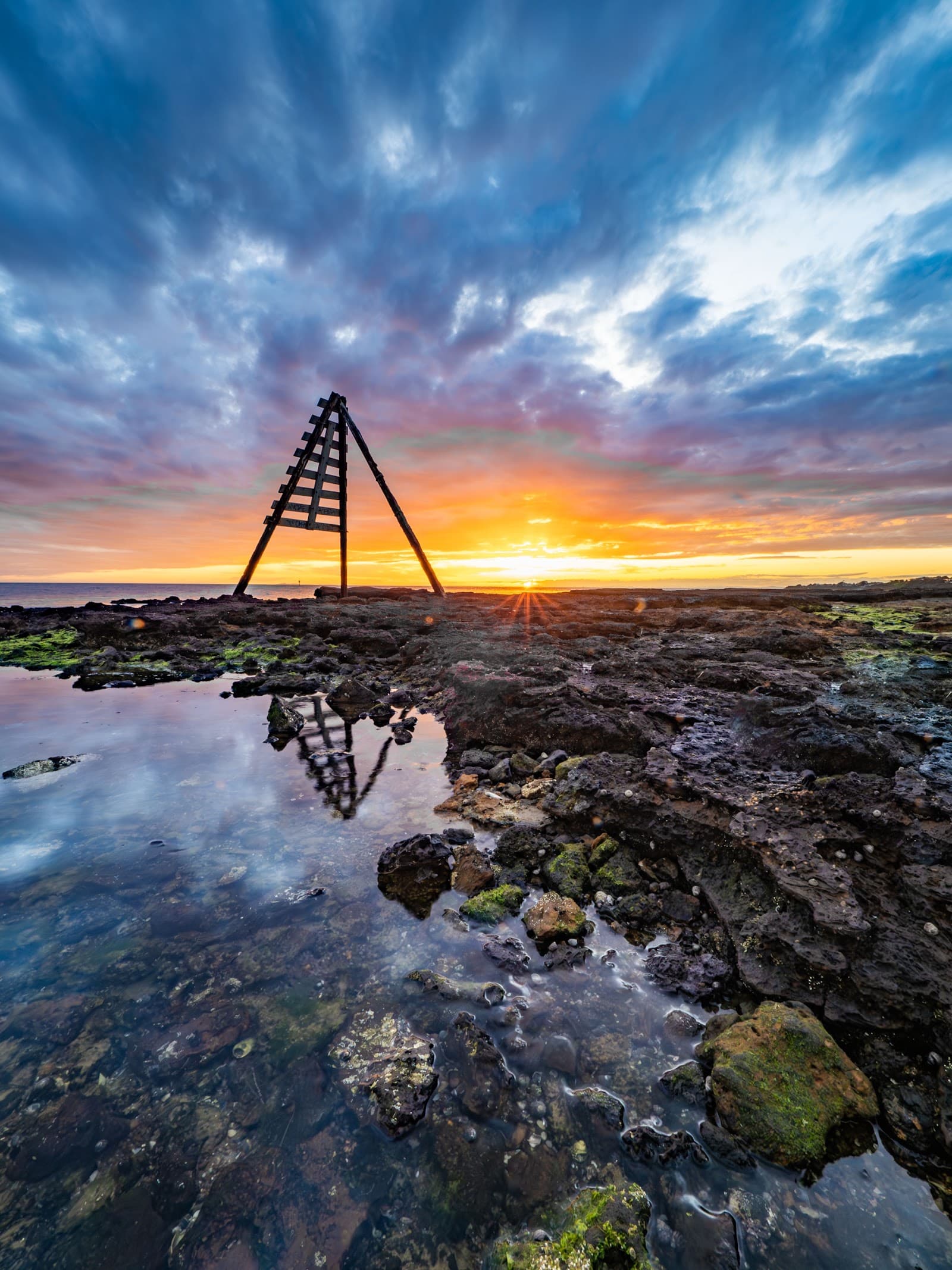 Ricketts Point Marine Sanctuary (Parks Victoria) — Prahran, Melbourne