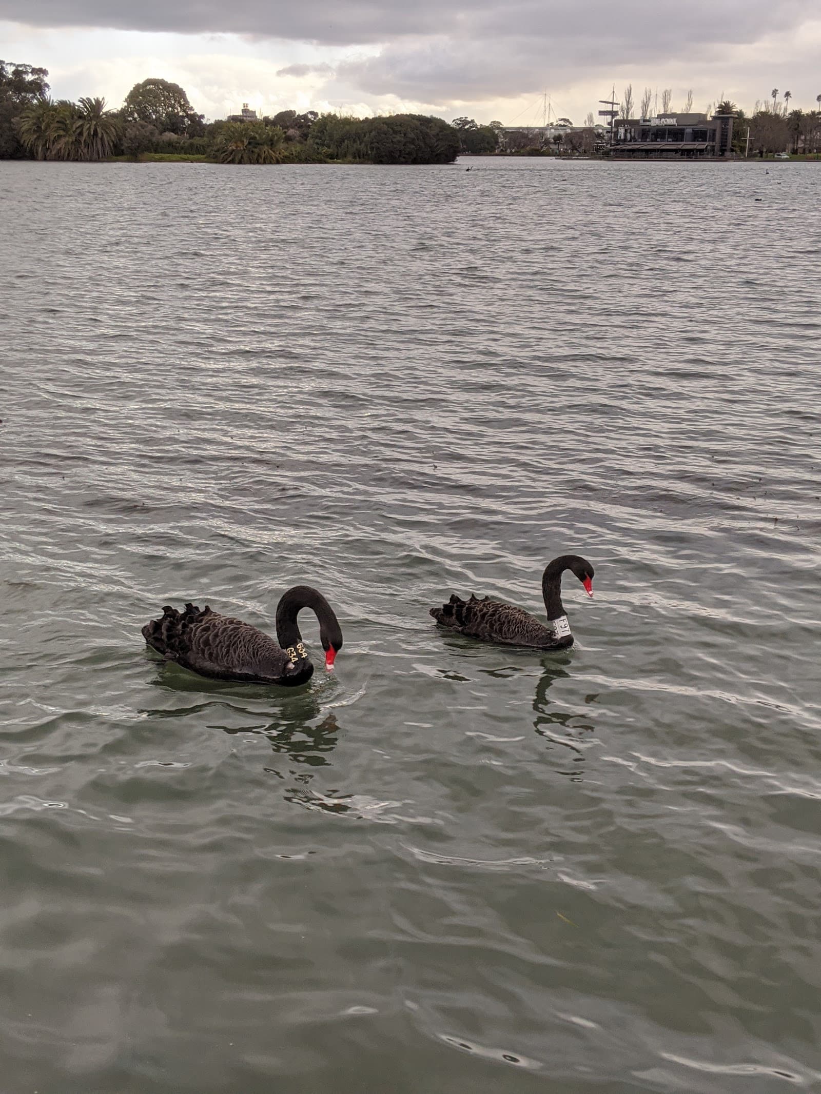Albert Park Walking Track — Melbourne