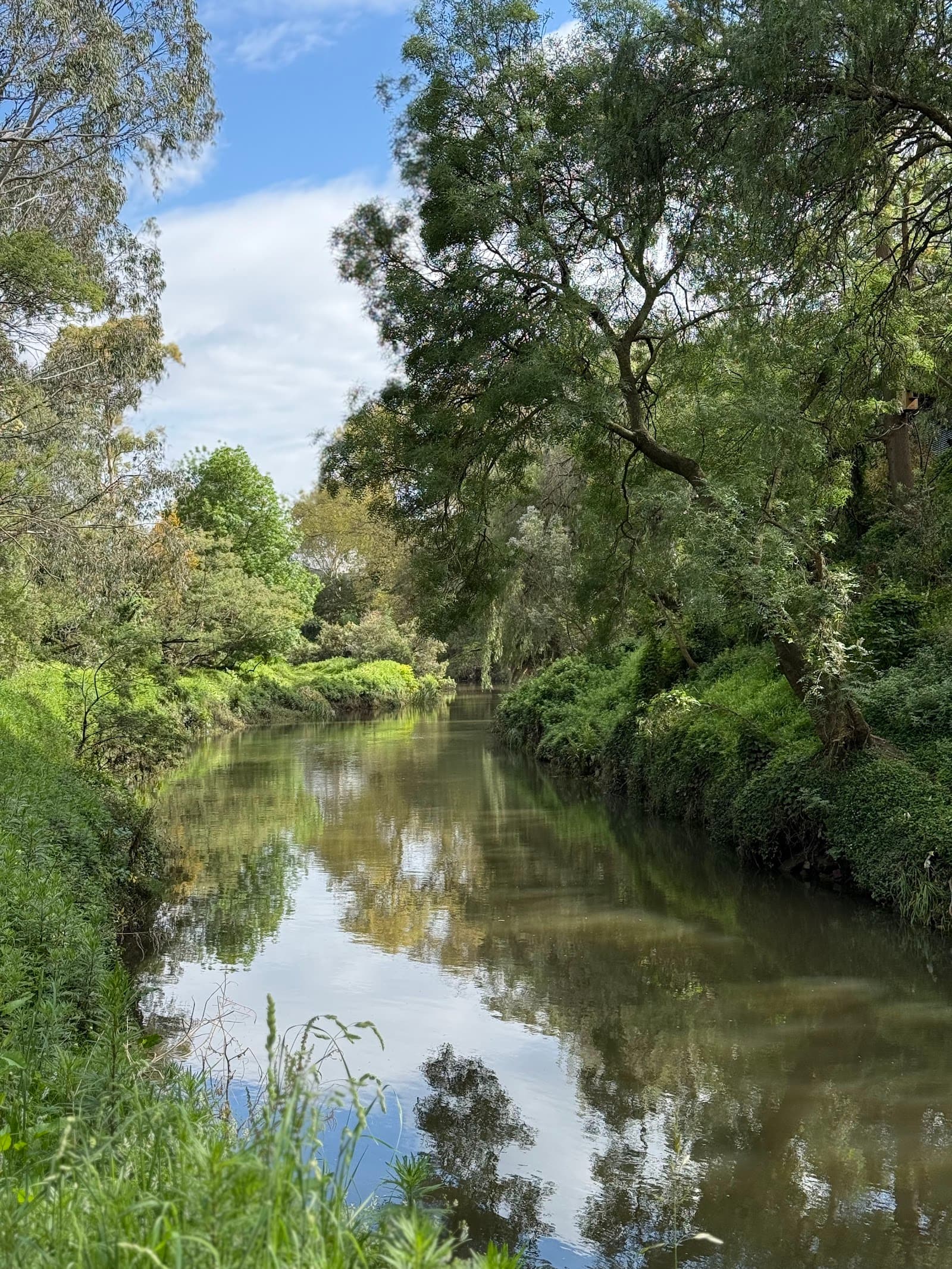 Rushall Reserve — Fitzroy, Melbourne