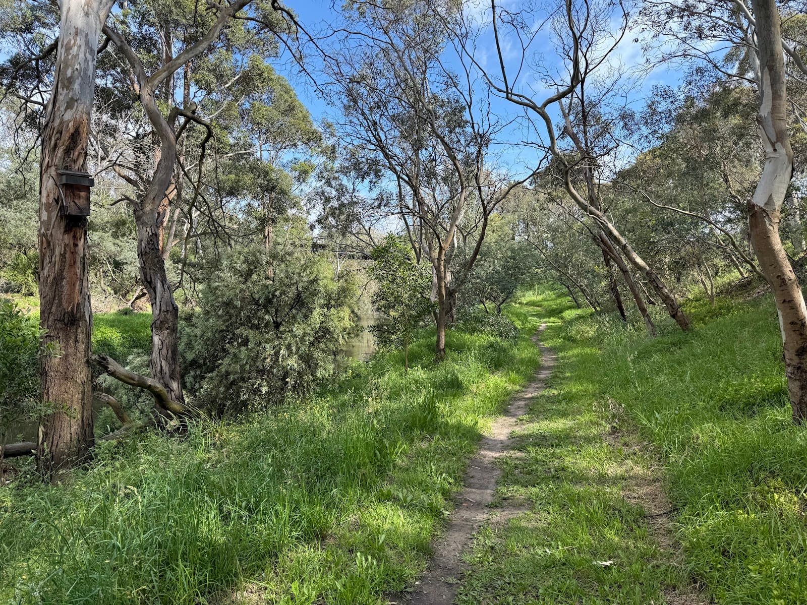 Rushall Reserve — Fitzroy North, Melbourne