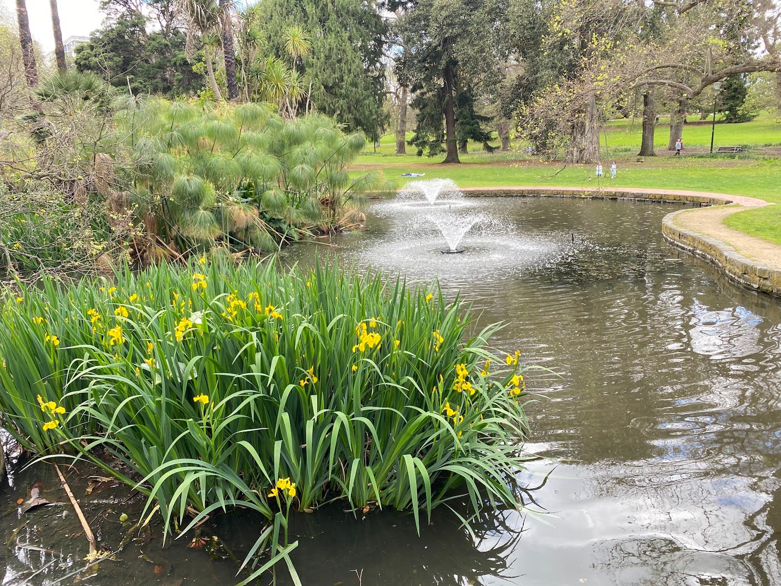 The Mound and Pond — Fitzroy, Melbourne
