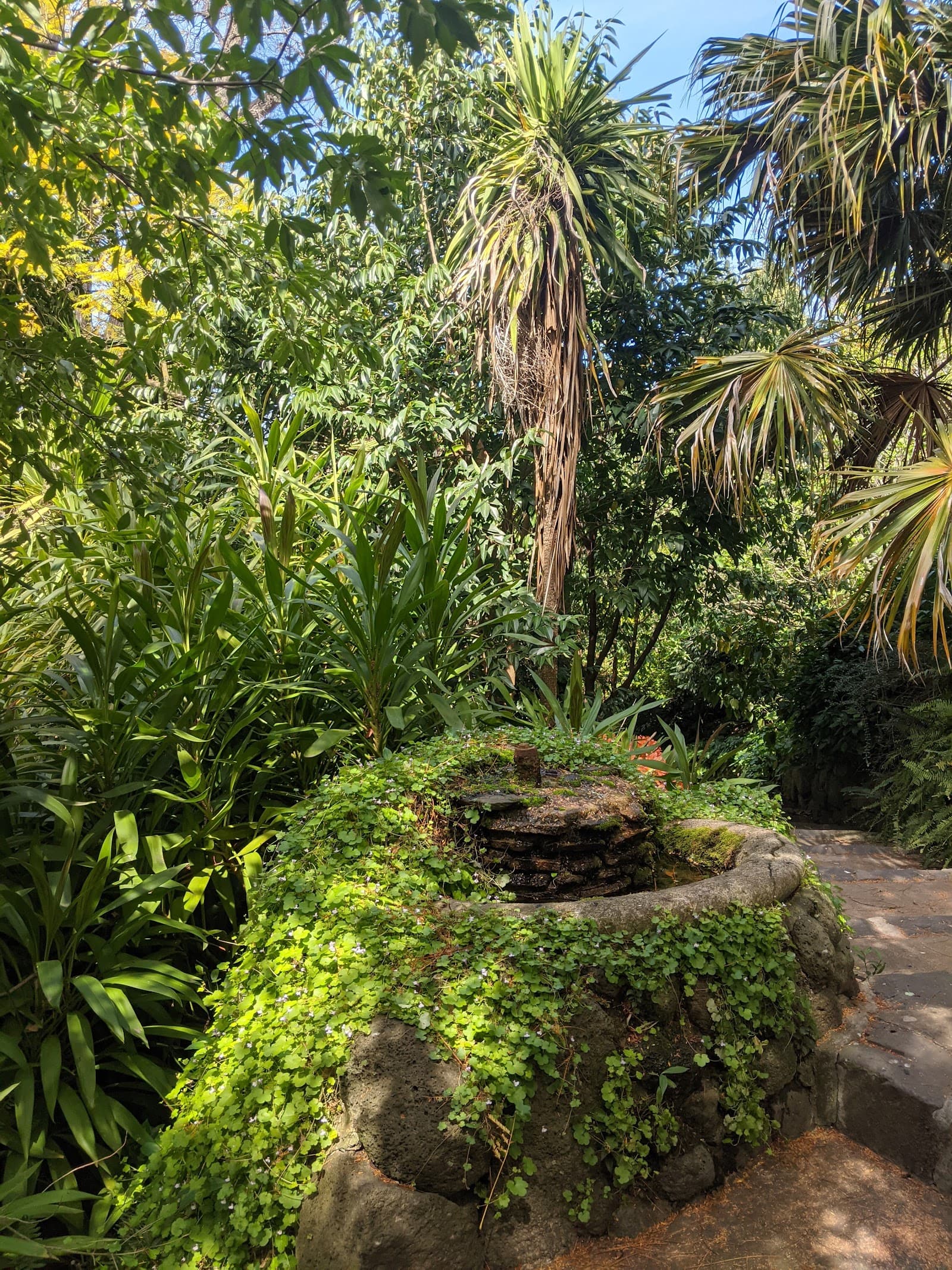 The Mound and Pond — East Melbourne, Melbourne