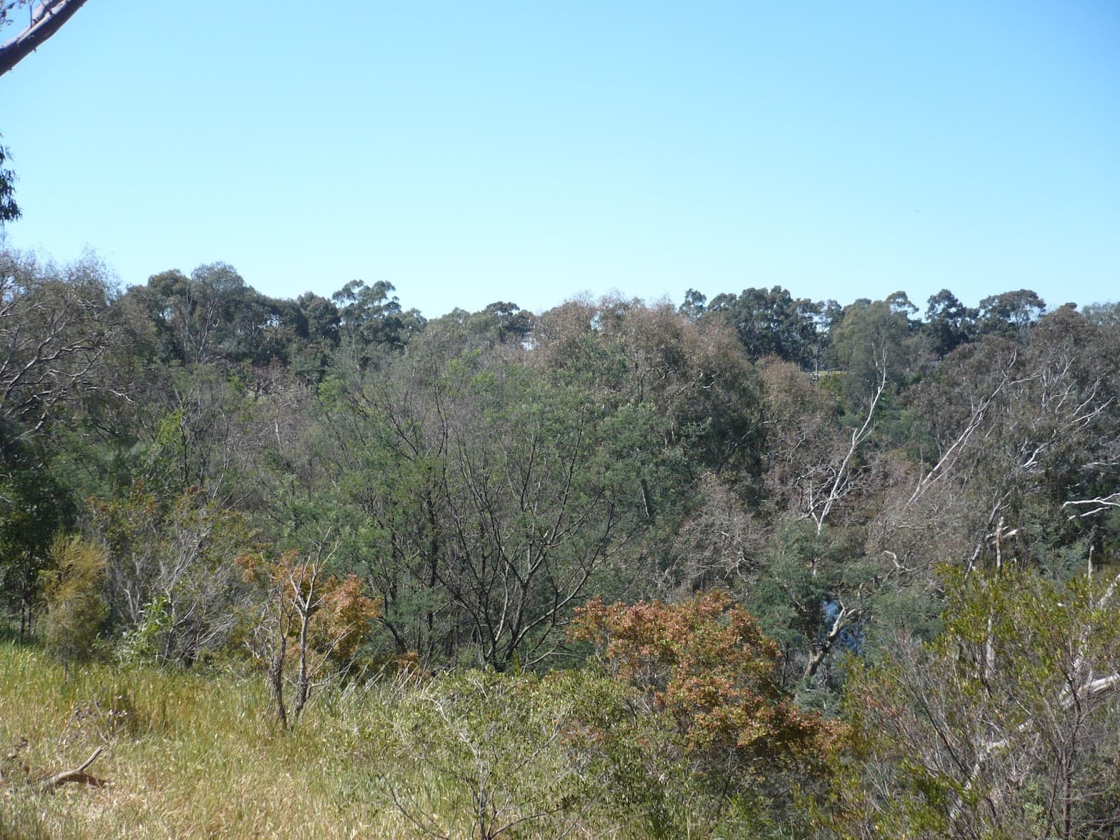 Galatea Point — North Melbourne, Melbourne