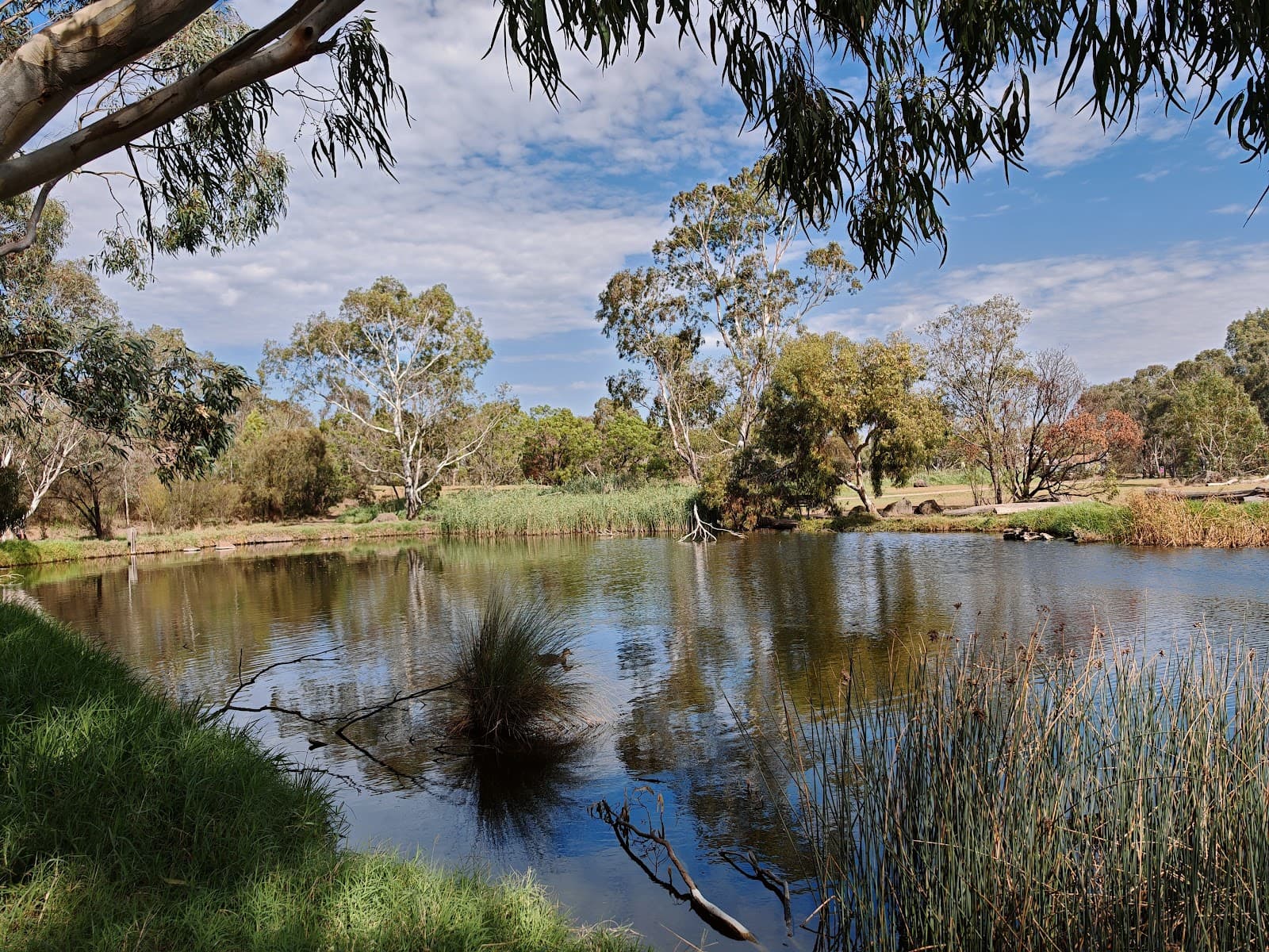 Darebin Parklands — North Melbourne, Melbourne