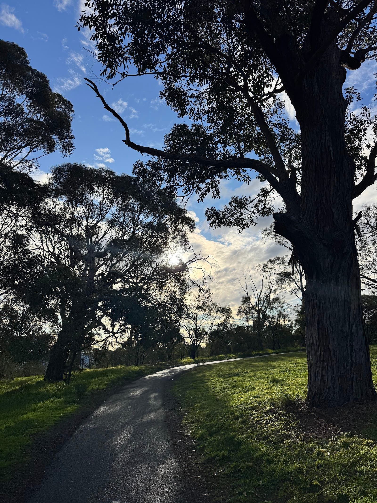 Main Yarra Trail Kew — Hawthorn, Melbourne