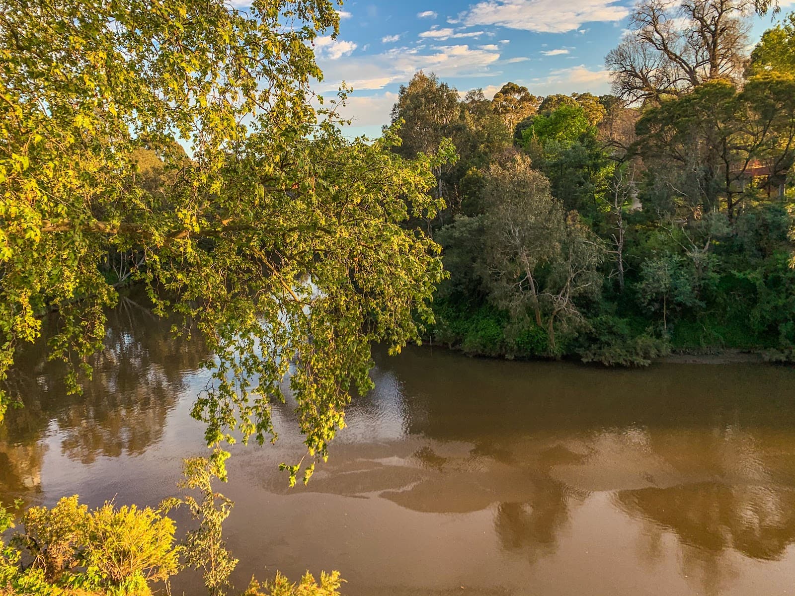 Main Yarra Trail Kew — Kew, Melbourne