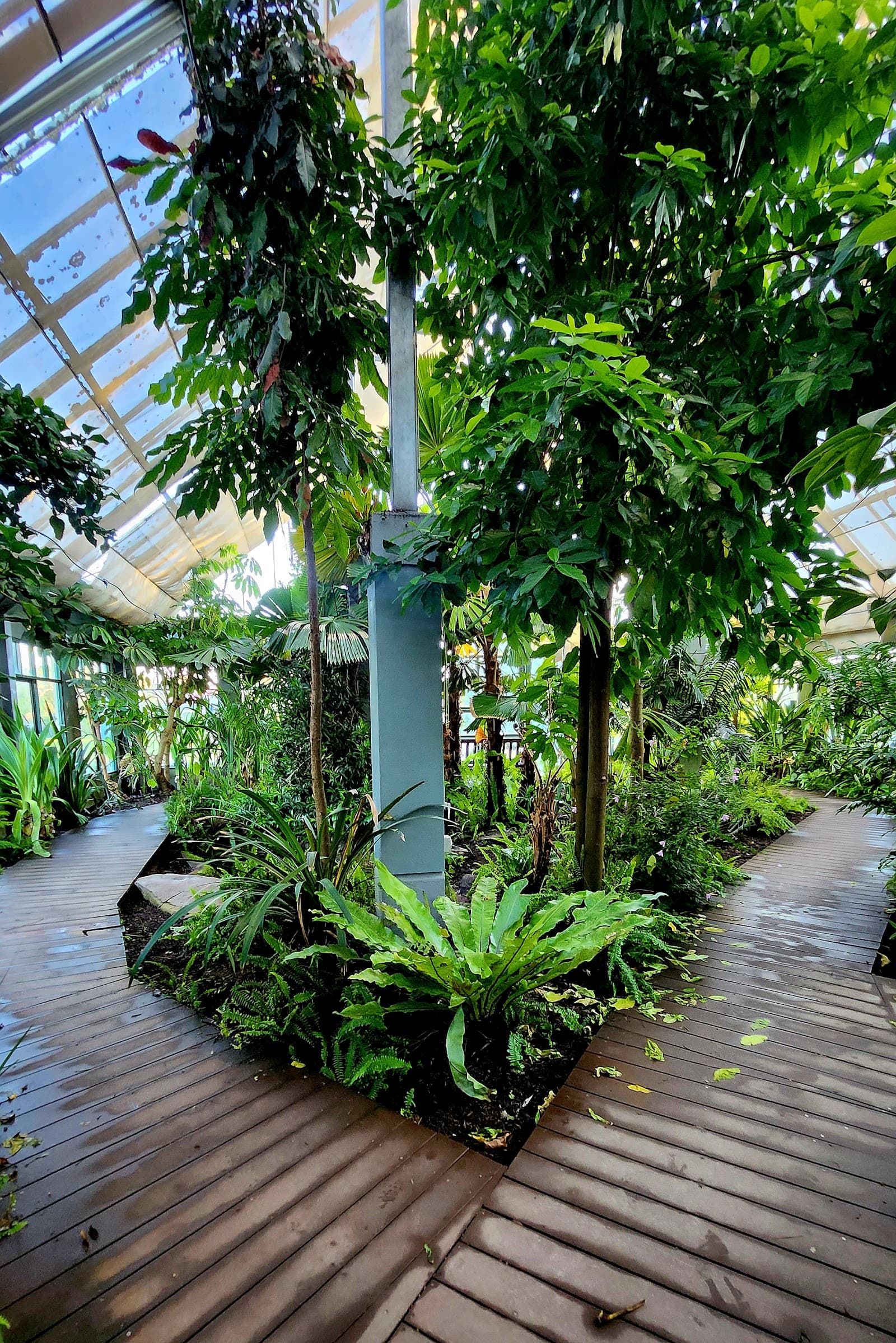 St Kilda Conservatory — St Kilda, Melbourne