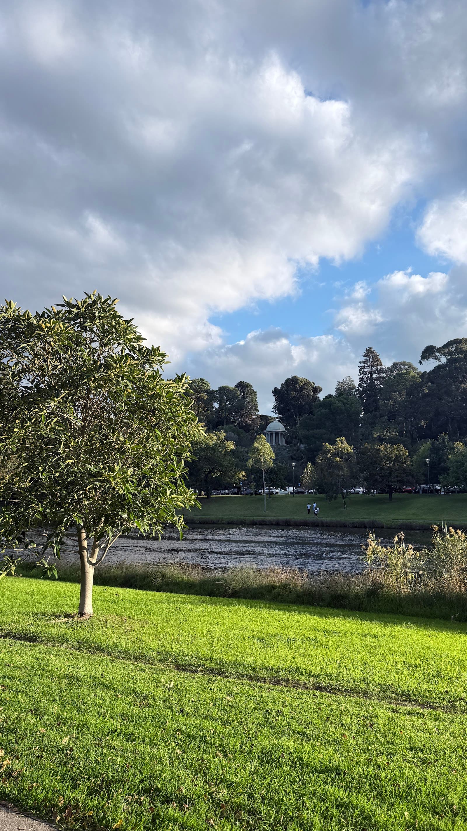 Birrarung Marr Tree Top Walk — Brunswick, Melbourne
