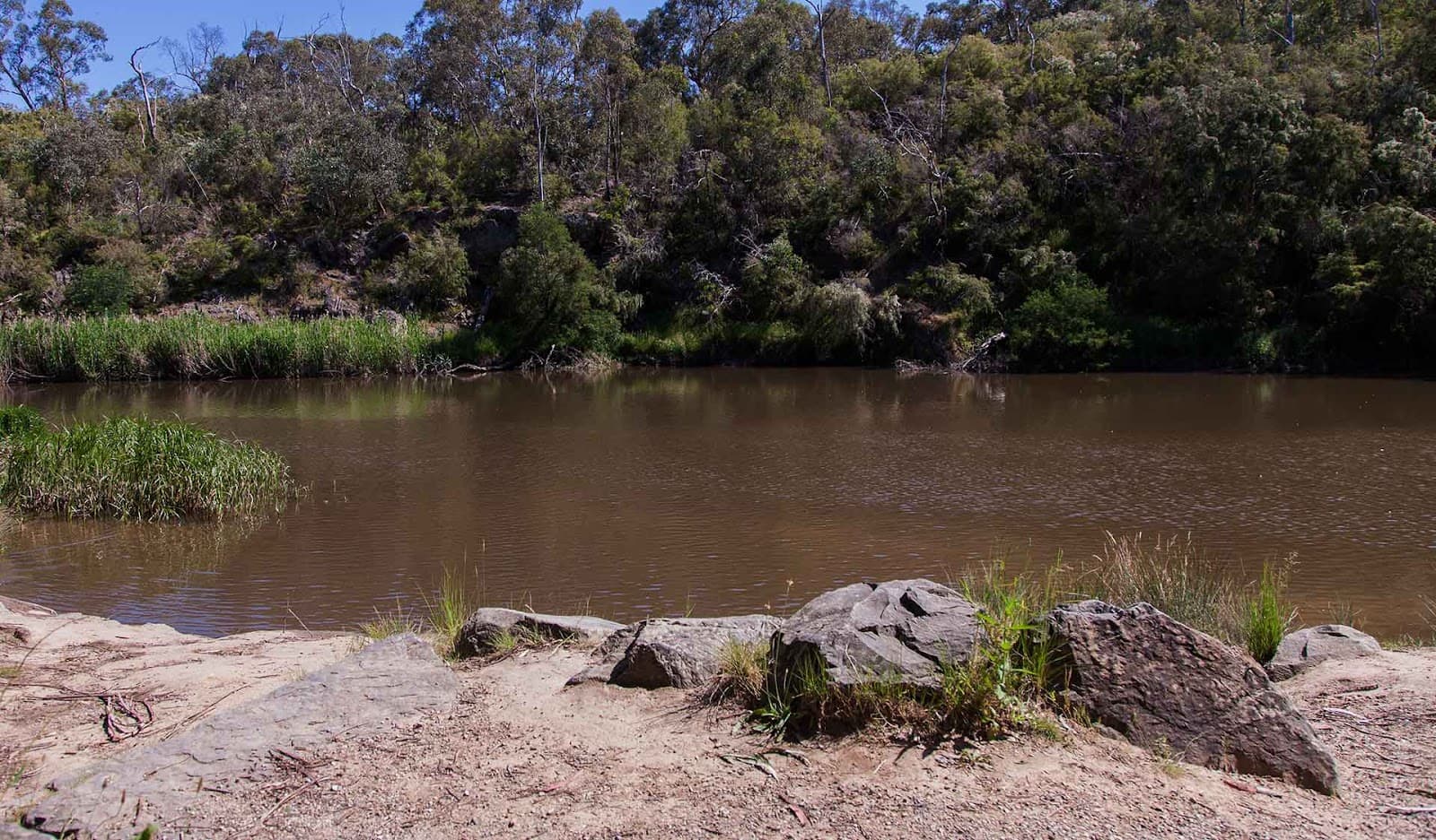 Warrandyte State Park — Brunswick, Melbourne
