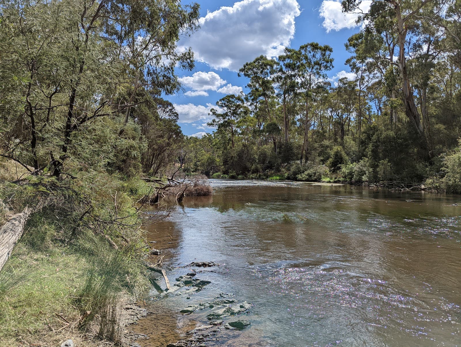 Warrandyte State Park — Brunswick, Melbourne