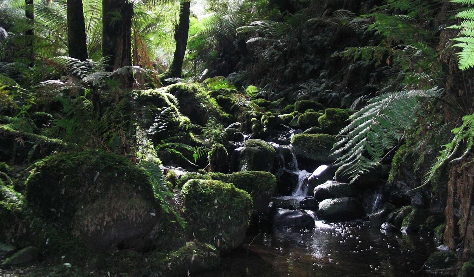 Sherbrooke Falls — Brunswick, Melbourne