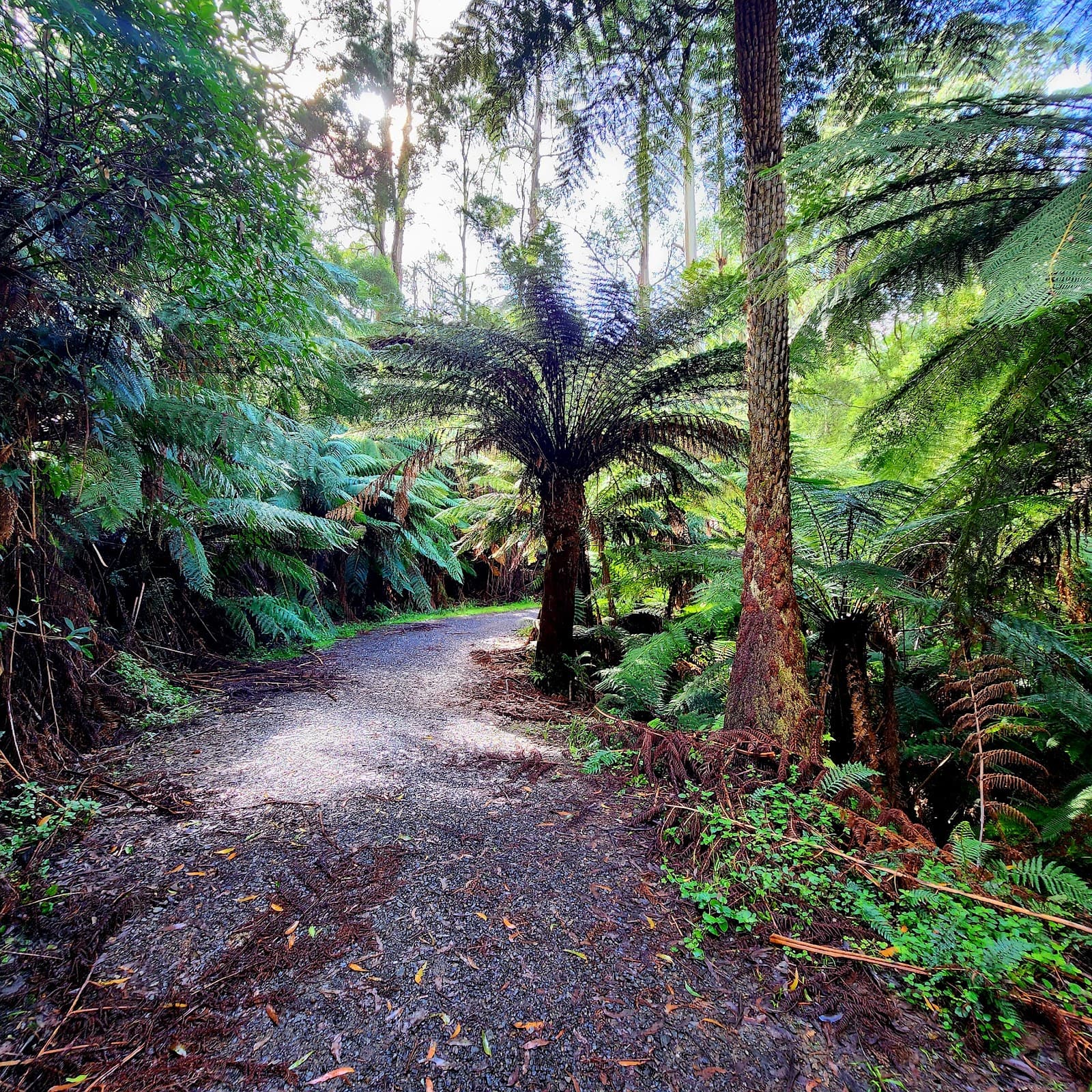 Sherbrooke Falls — Brunswick, Melbourne