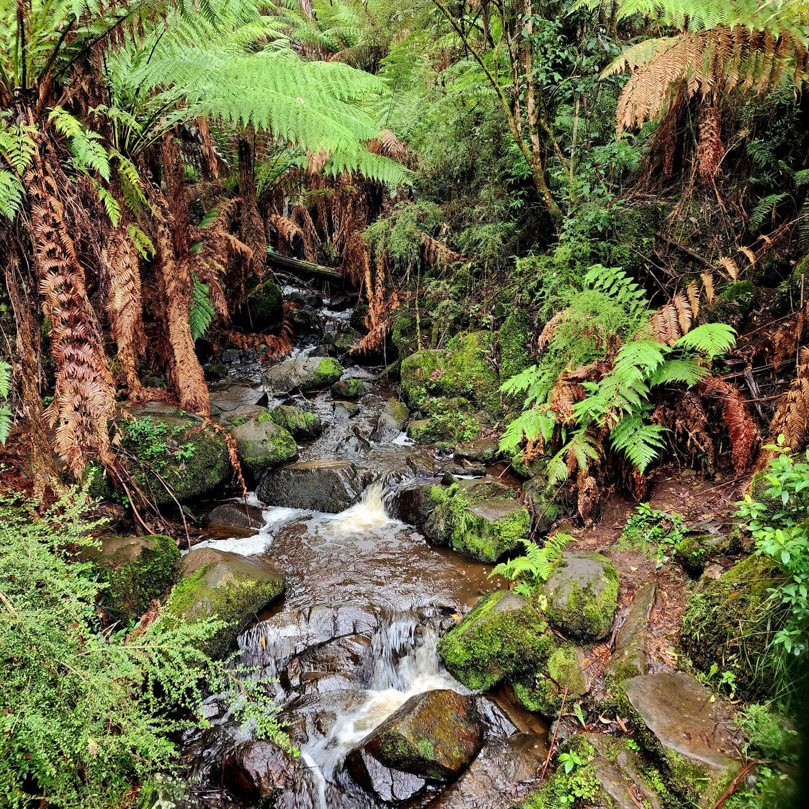 Sherbrooke Falls — Brunswick, Melbourne