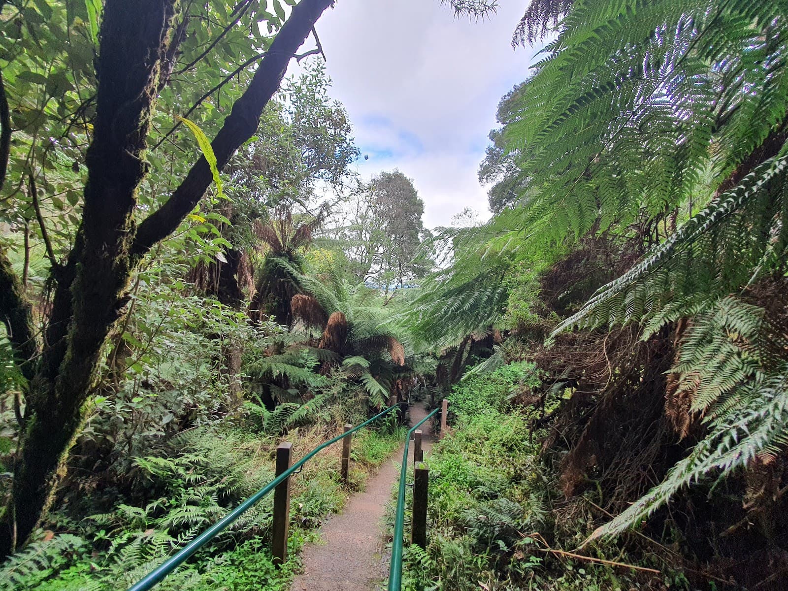 Kokoda Track Memorial Walk — Brunswick, Melbourne