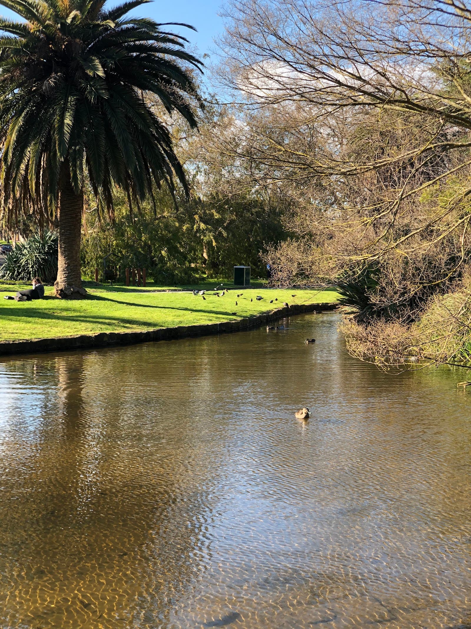 Hedgeley Dene Gardens — Prahran, Melbourne