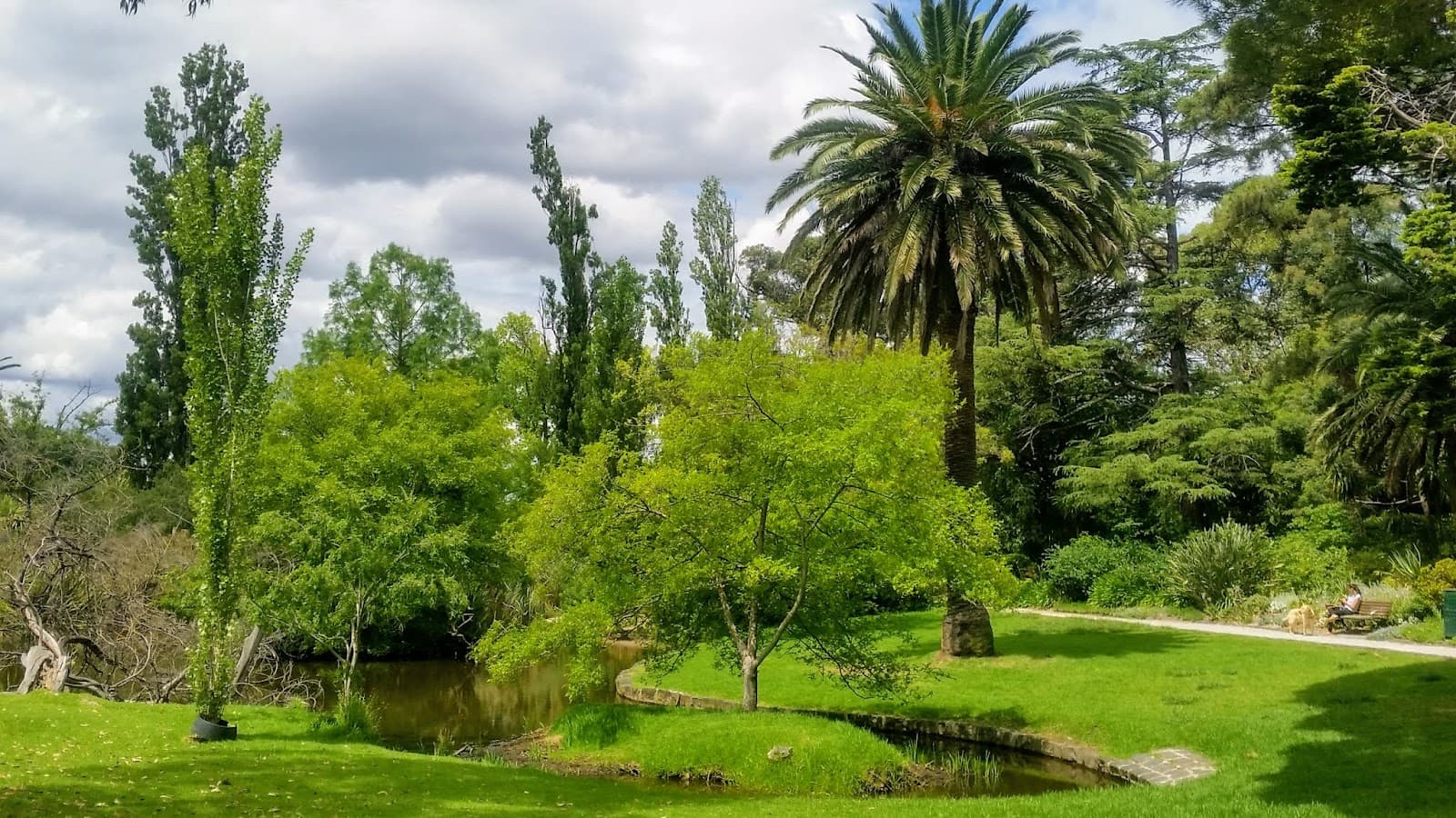 Hedgeley Dene Gardens — Prahran, Melbourne